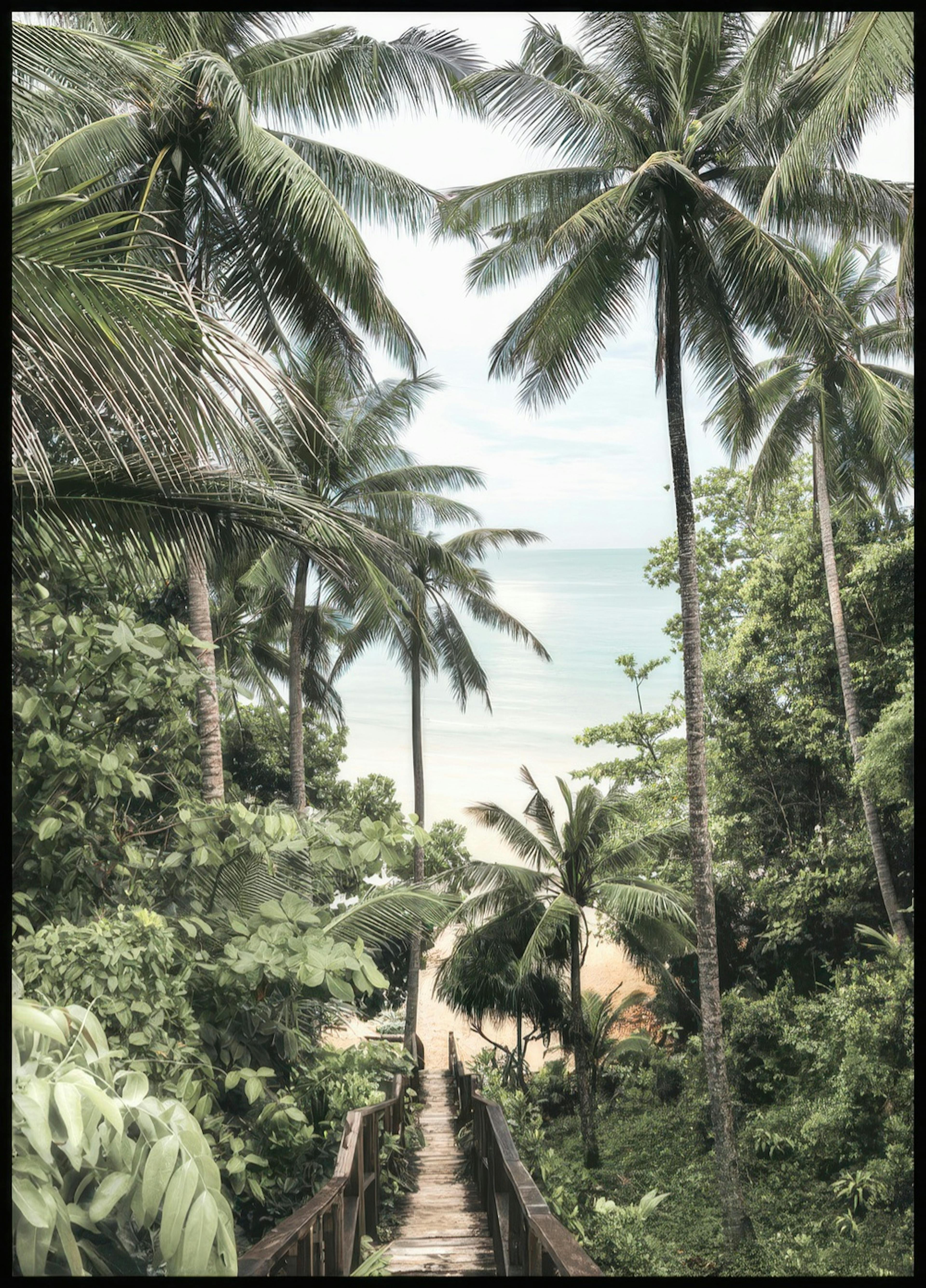 Puente Tropical - Póster 0
