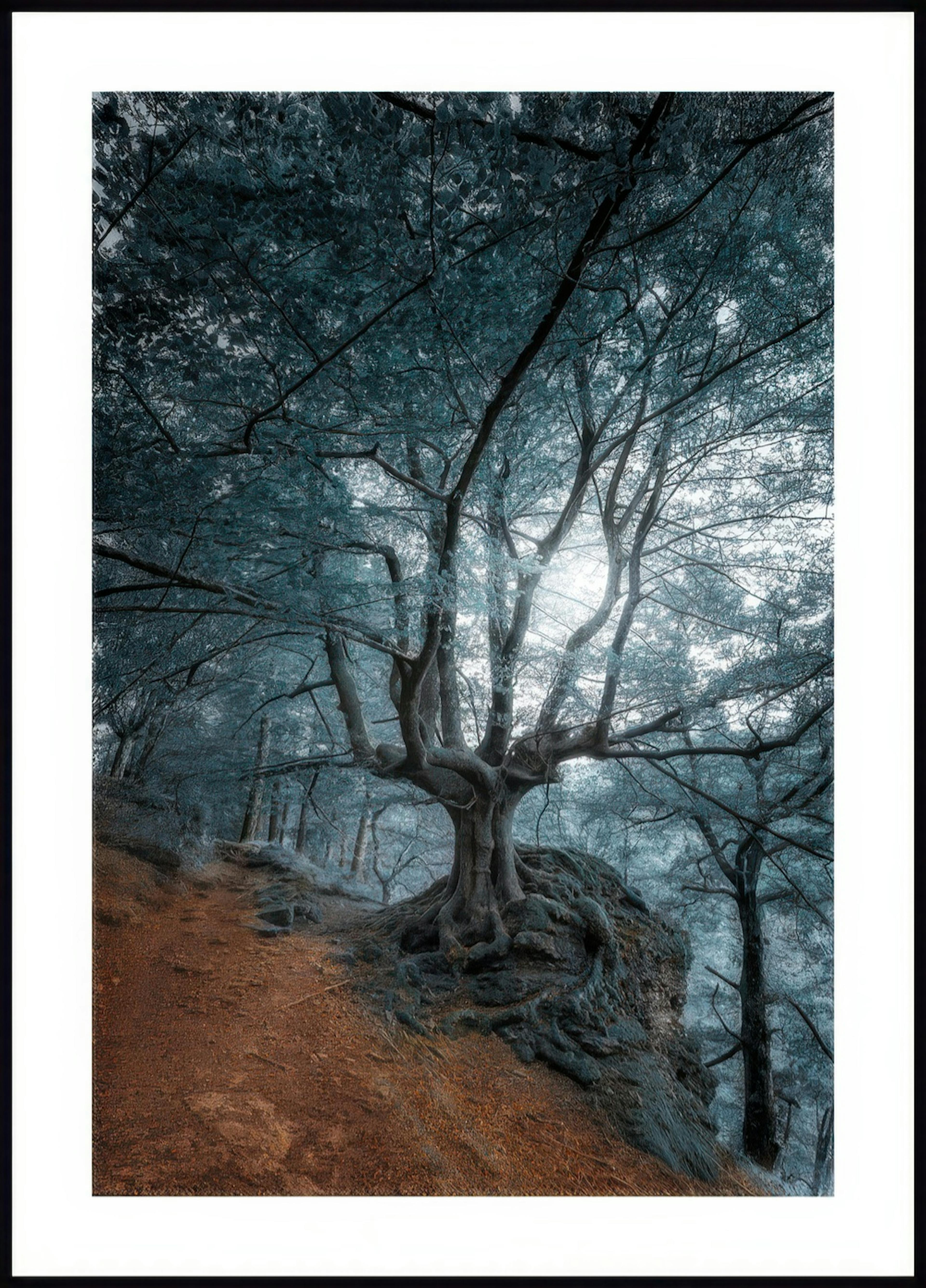 Whomping Willow Poster 0