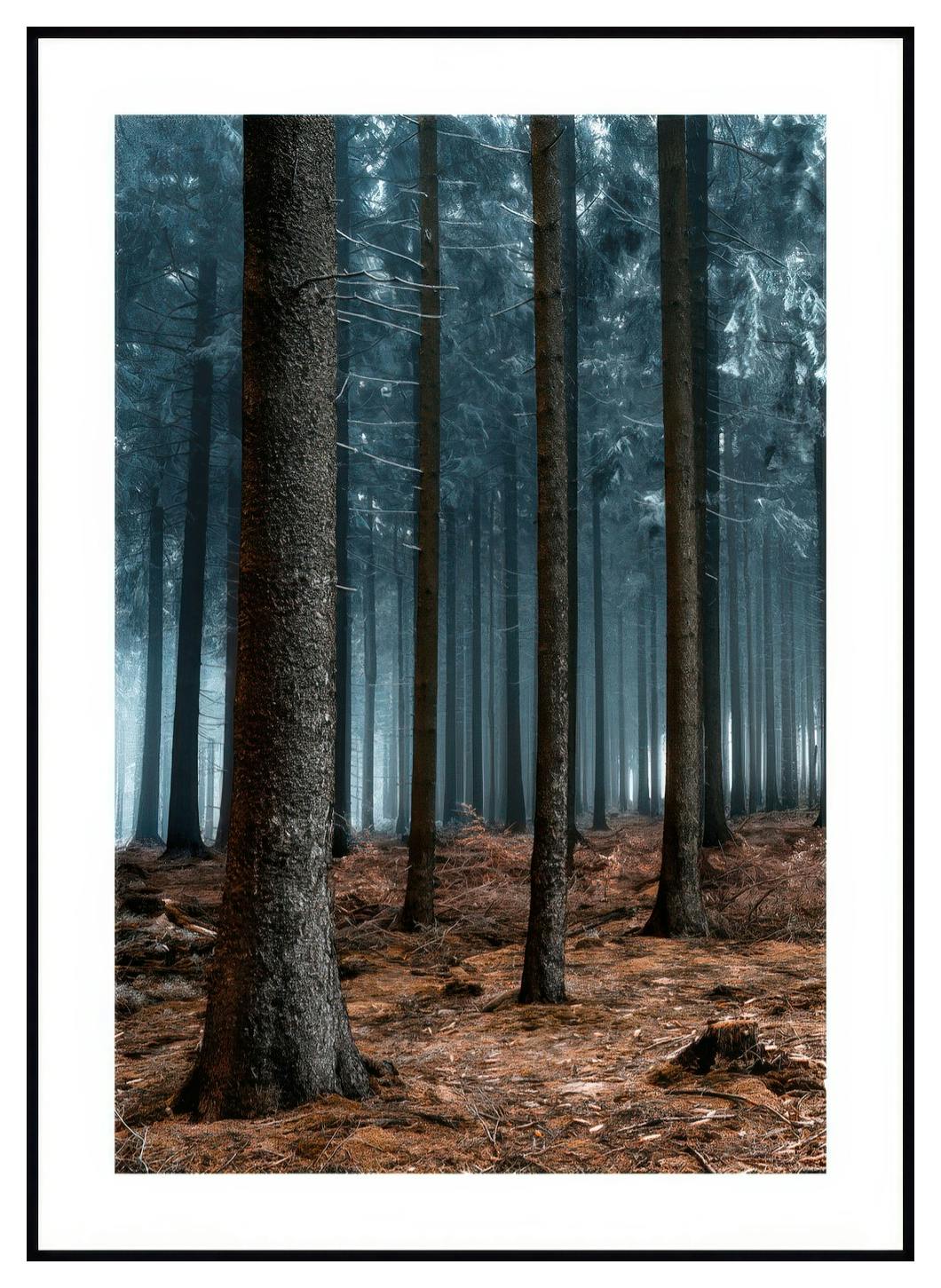 Kielletty Metsä Juliste (30x40 cm) - Poster Store