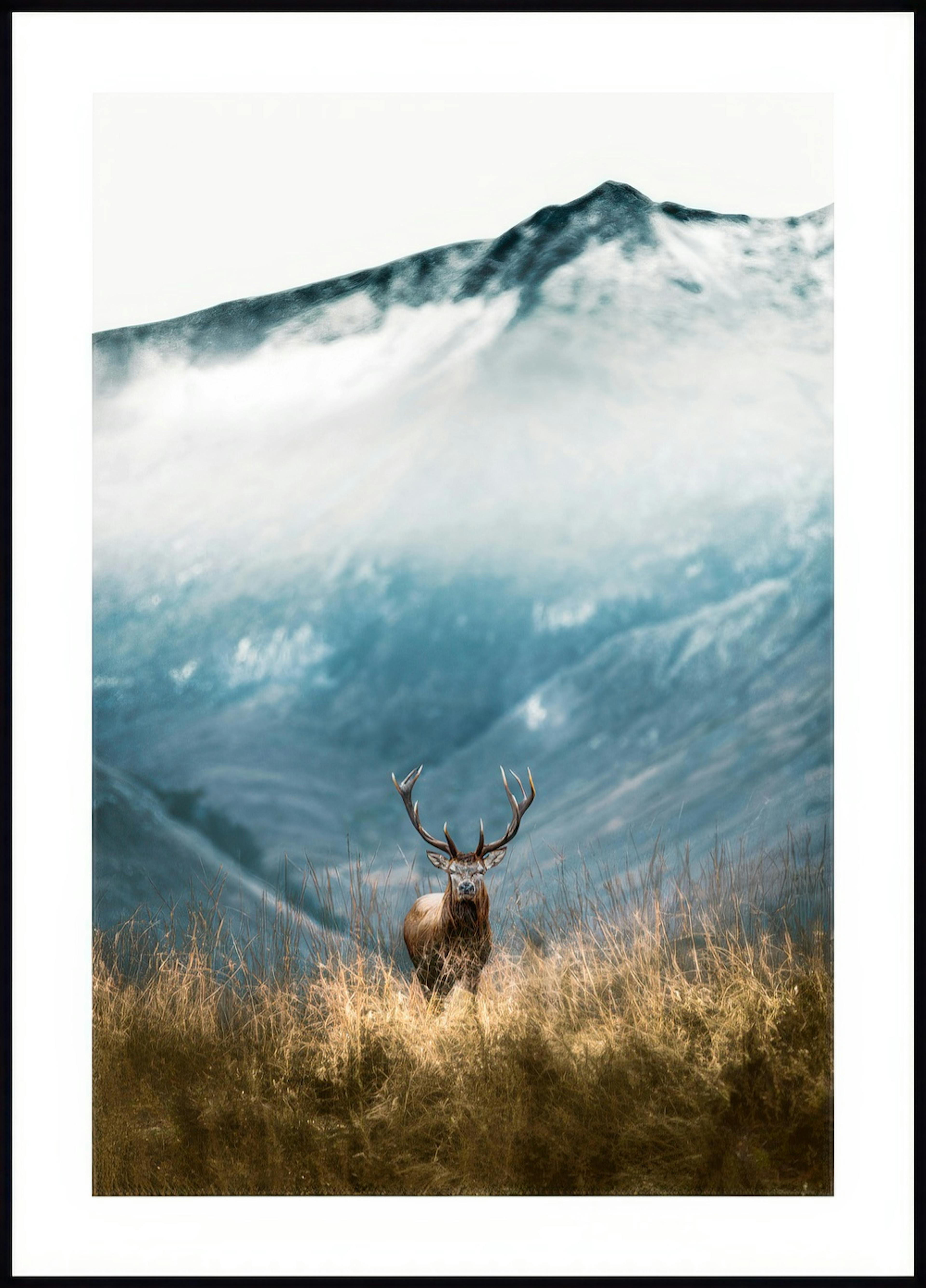 Mountain Stag Poster 0