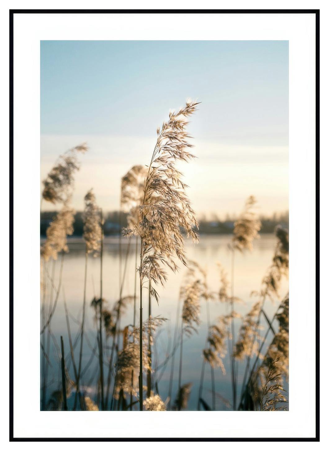 Plakat Spokojny Staw (50x70 cm) - Poster Store