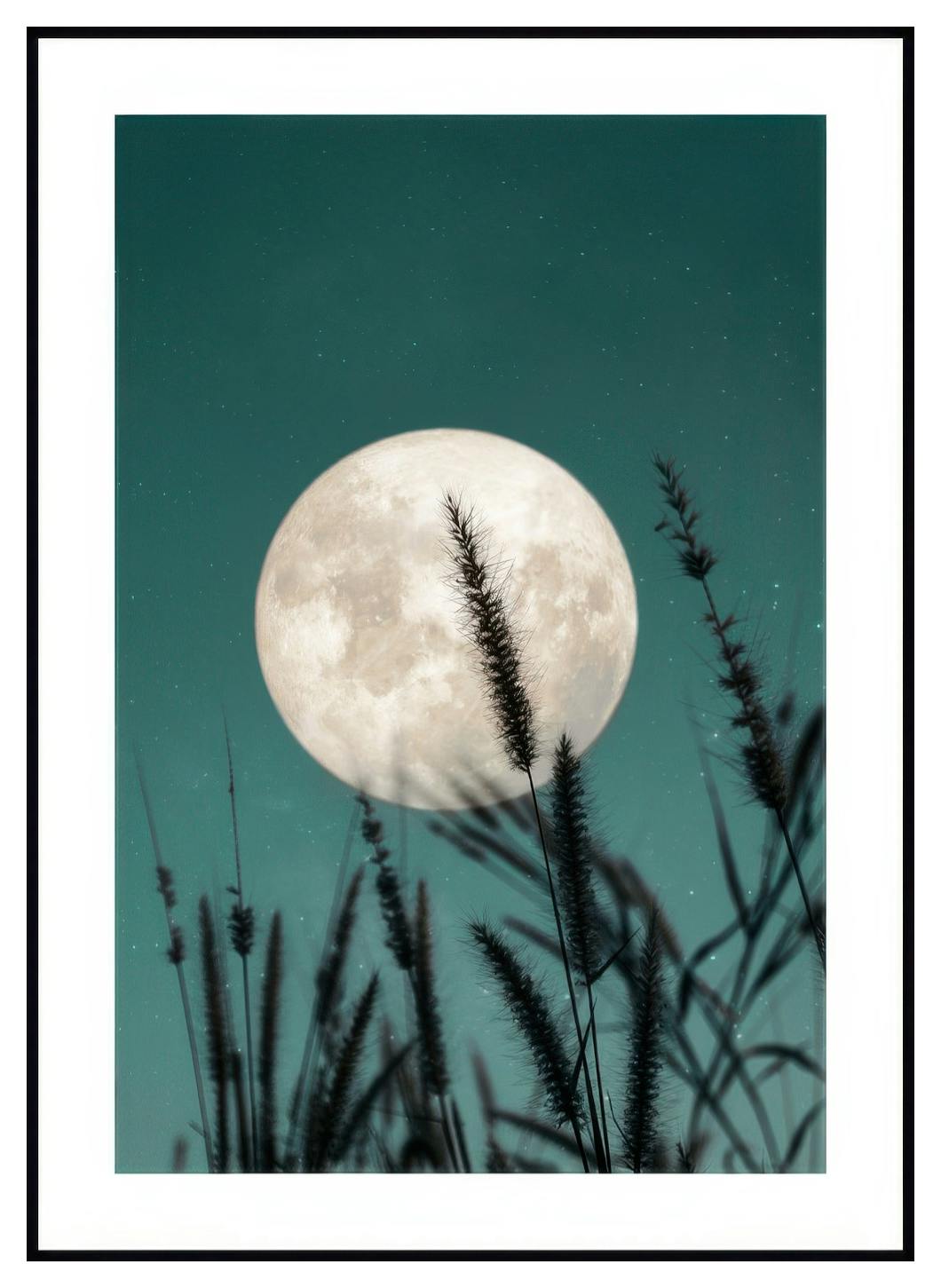 Herbe Sauvage et Pleine Lune Poster (30x40 cm) - Poster Store
