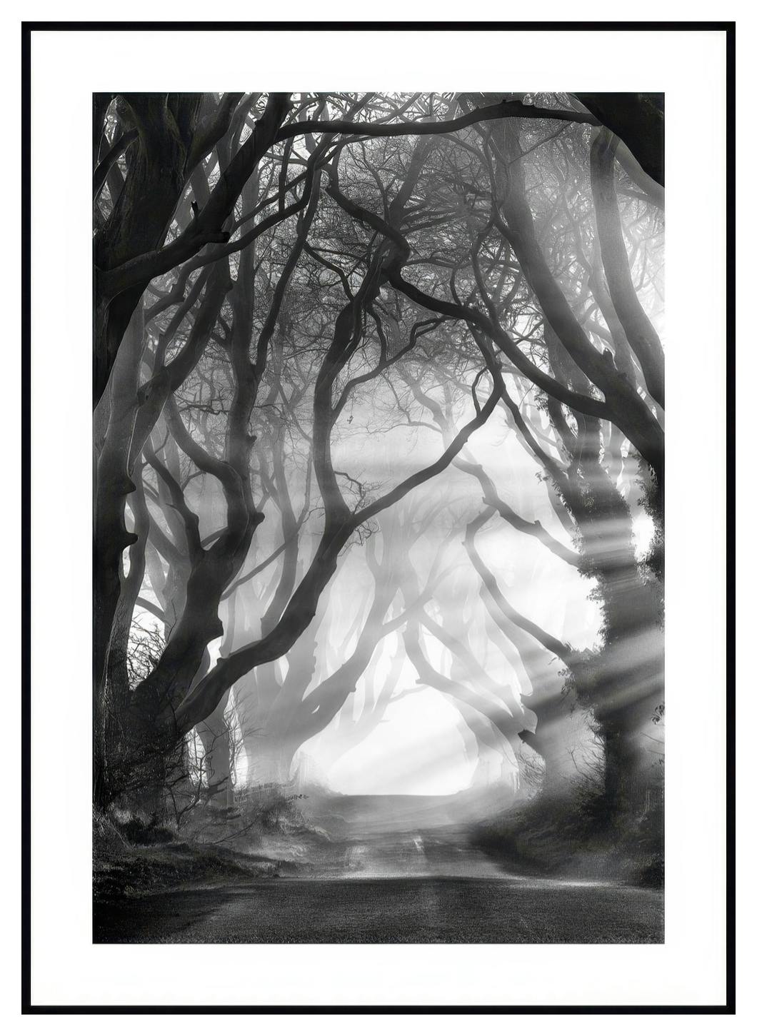 Dunkle Hecken Poster (50x70 cm) - Poster Store