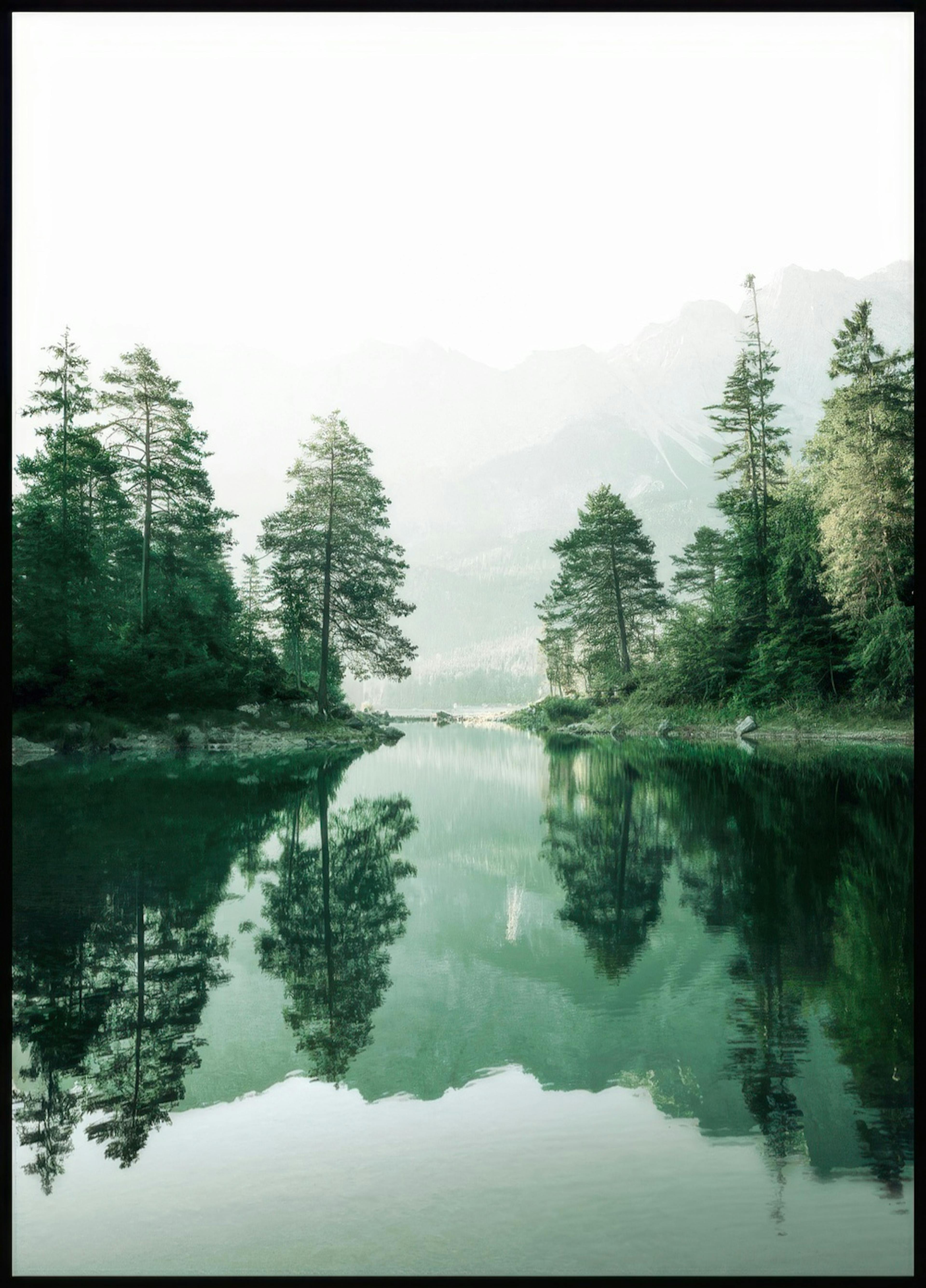 Reflet Forêt Brumeuse Poster 0