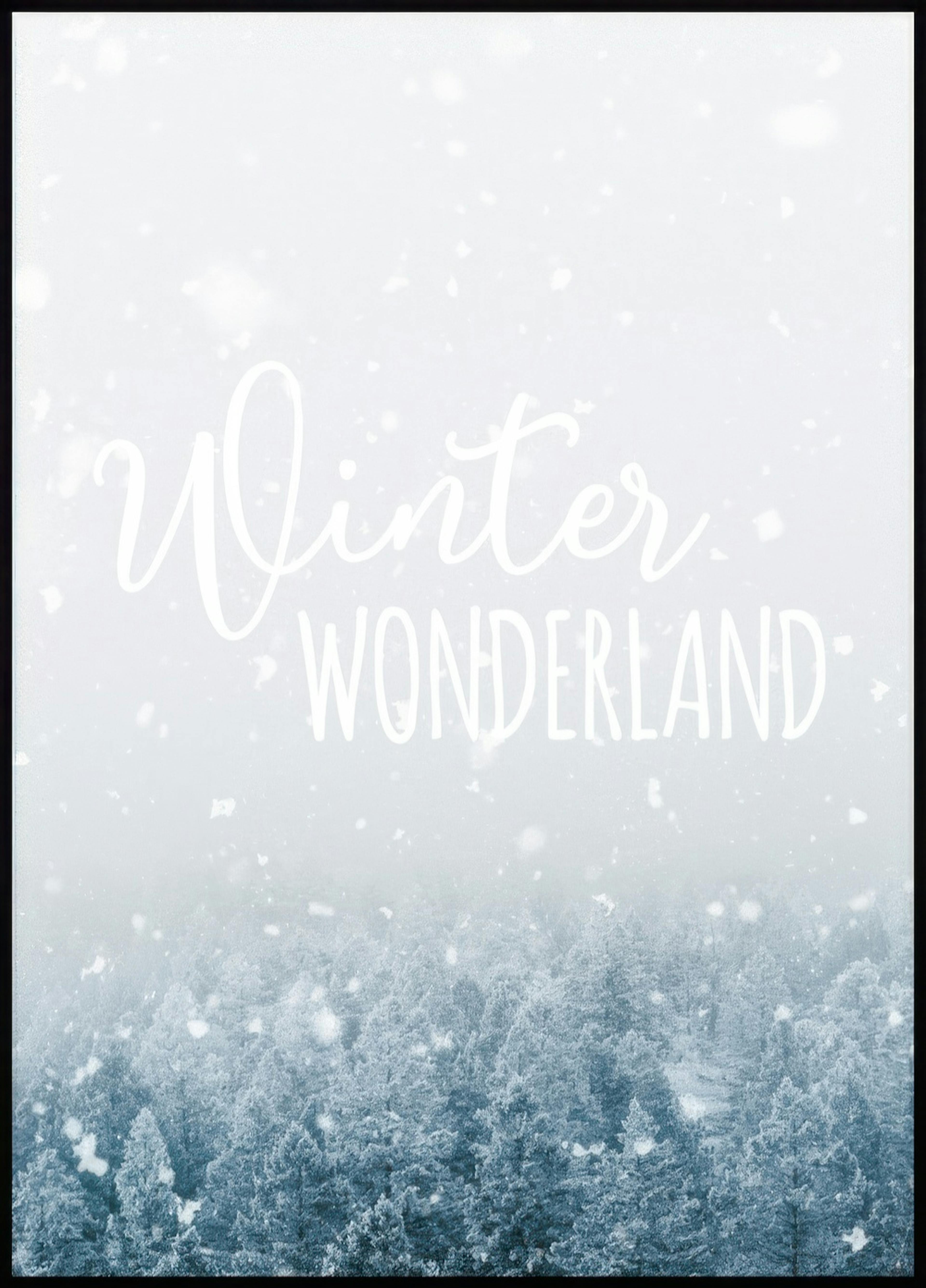 Winter Wonderland Poster 0
