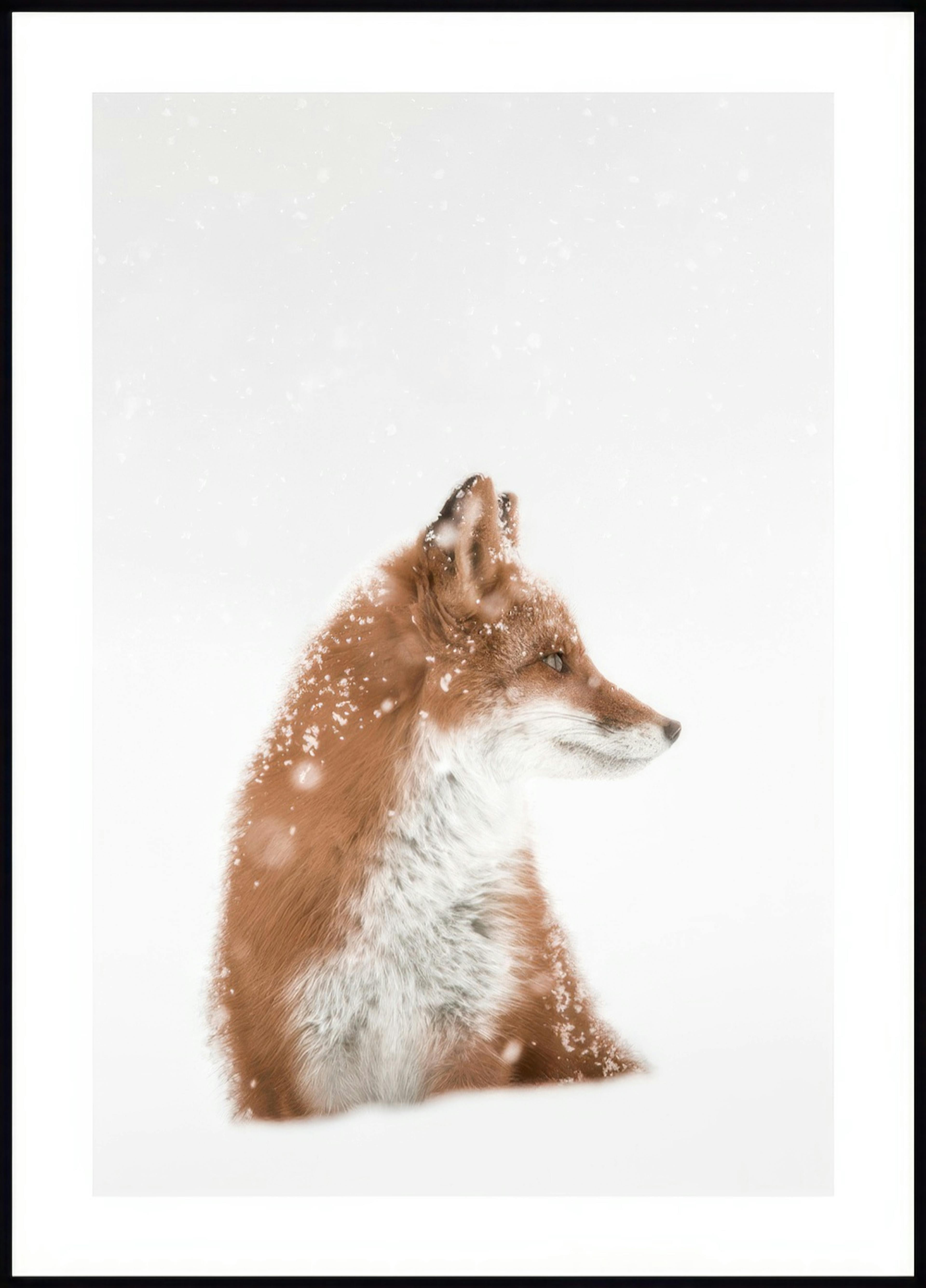 雪の中の狐ポスター 0