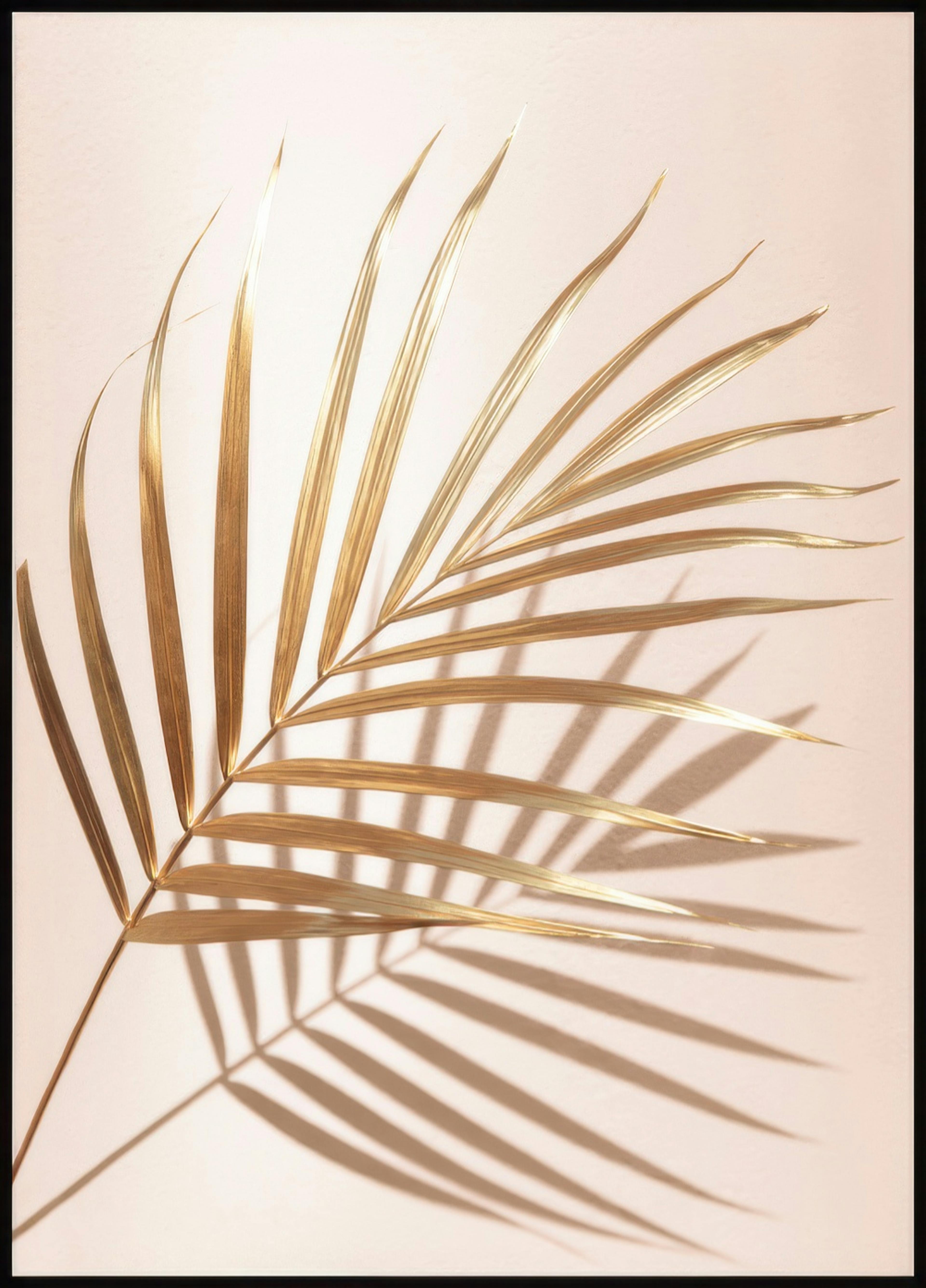 Golden Palm No2 Poster 0