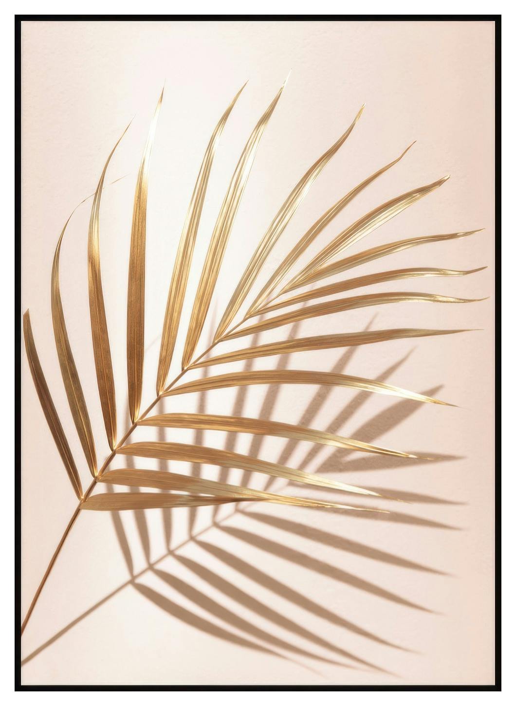 Gouden Palm No2 Poster (50x70 cm) - Poster Store
