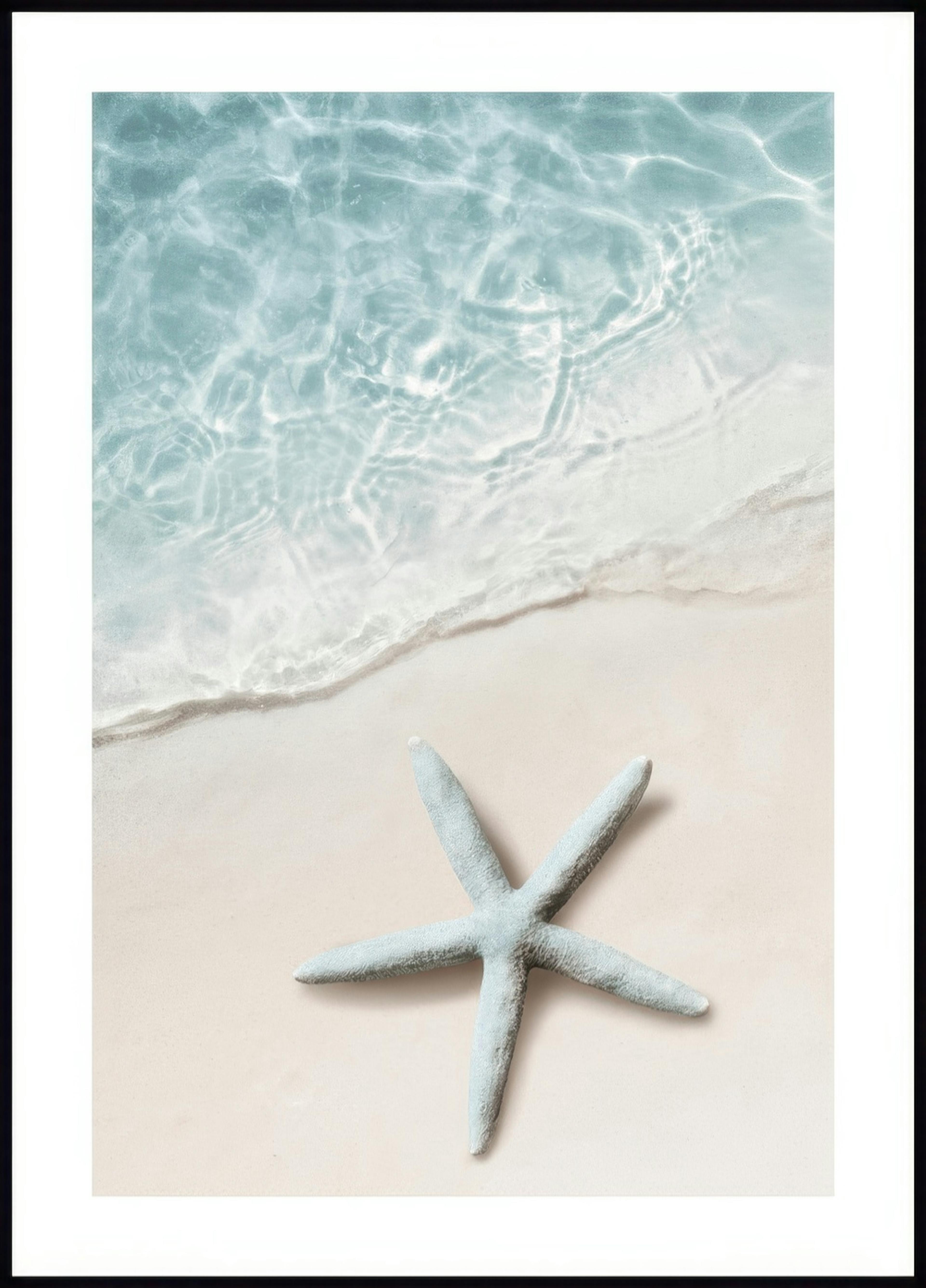 Blue Sea Star Poster 0
