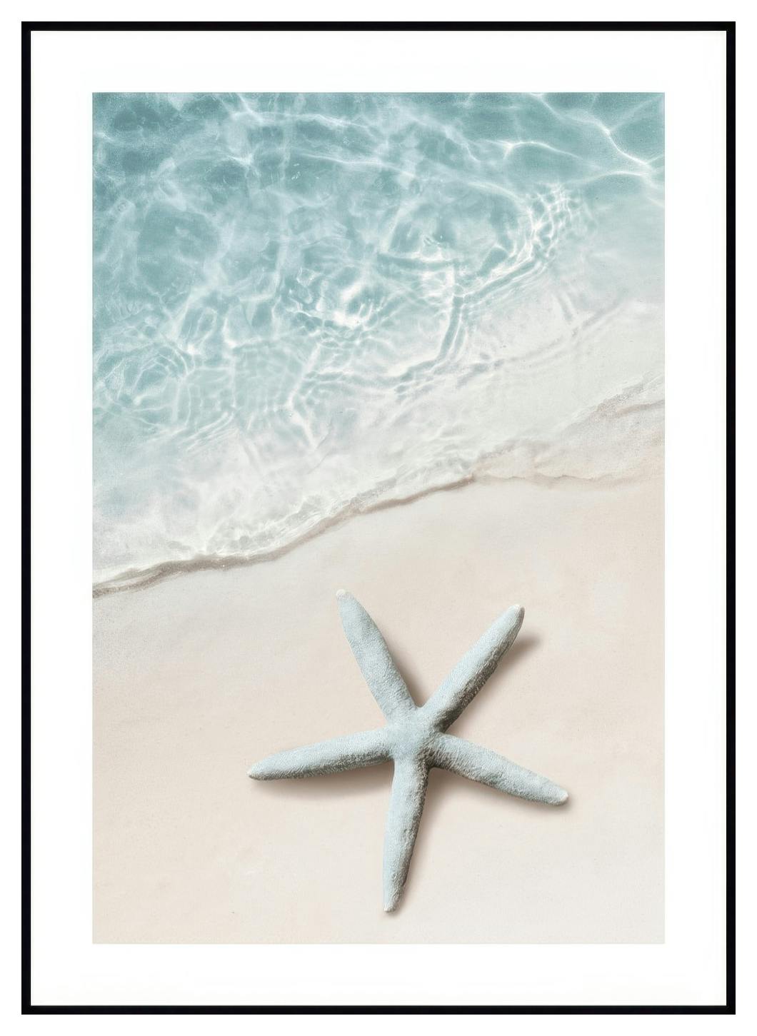 Plakat Błękitna Gwiazda Morska (21x30 cm) - Poster Store
