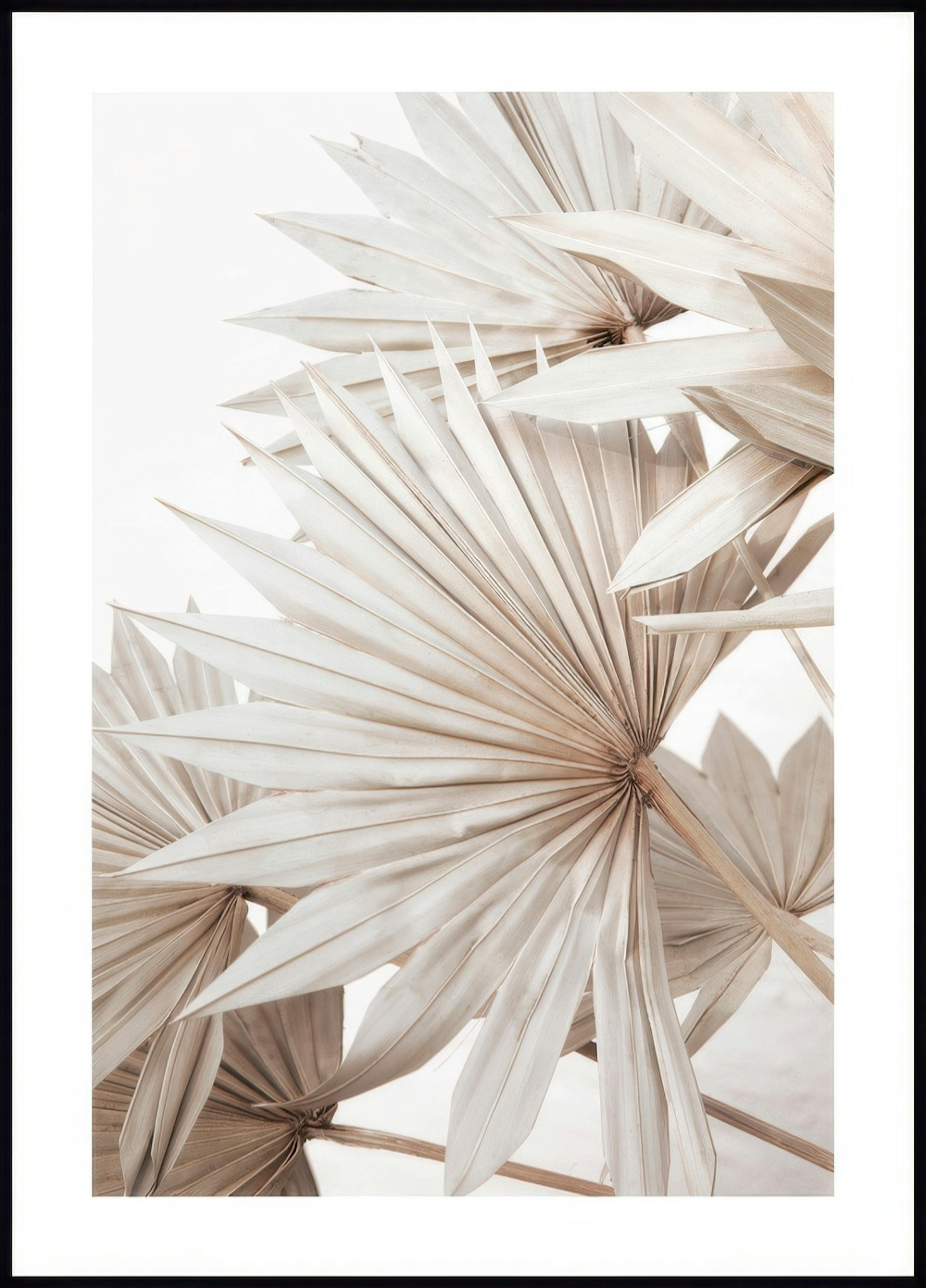Beige Palm No1 Poster 0