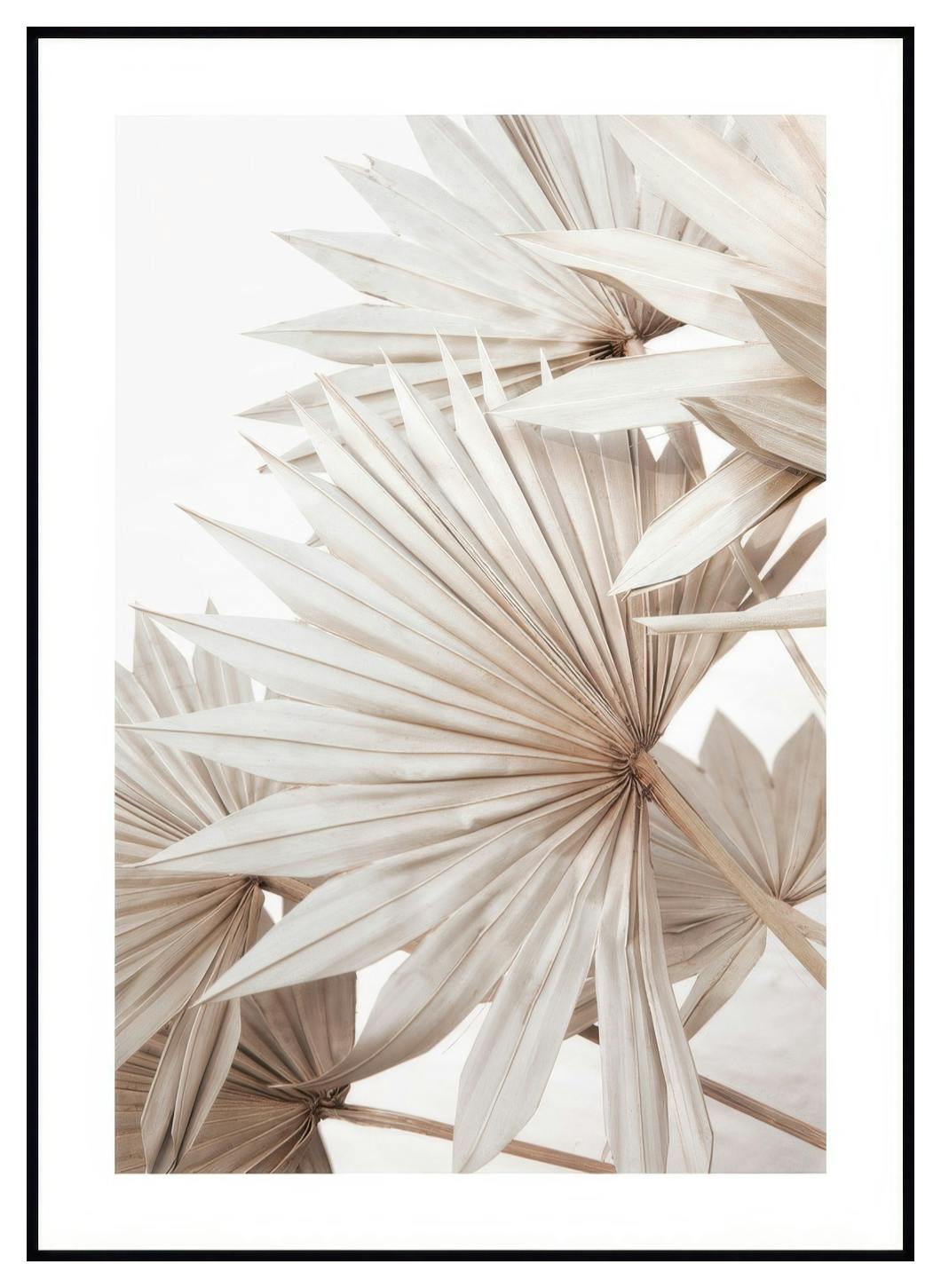 Beige Palm No1 Poster (21x30 cm) - Poster Store