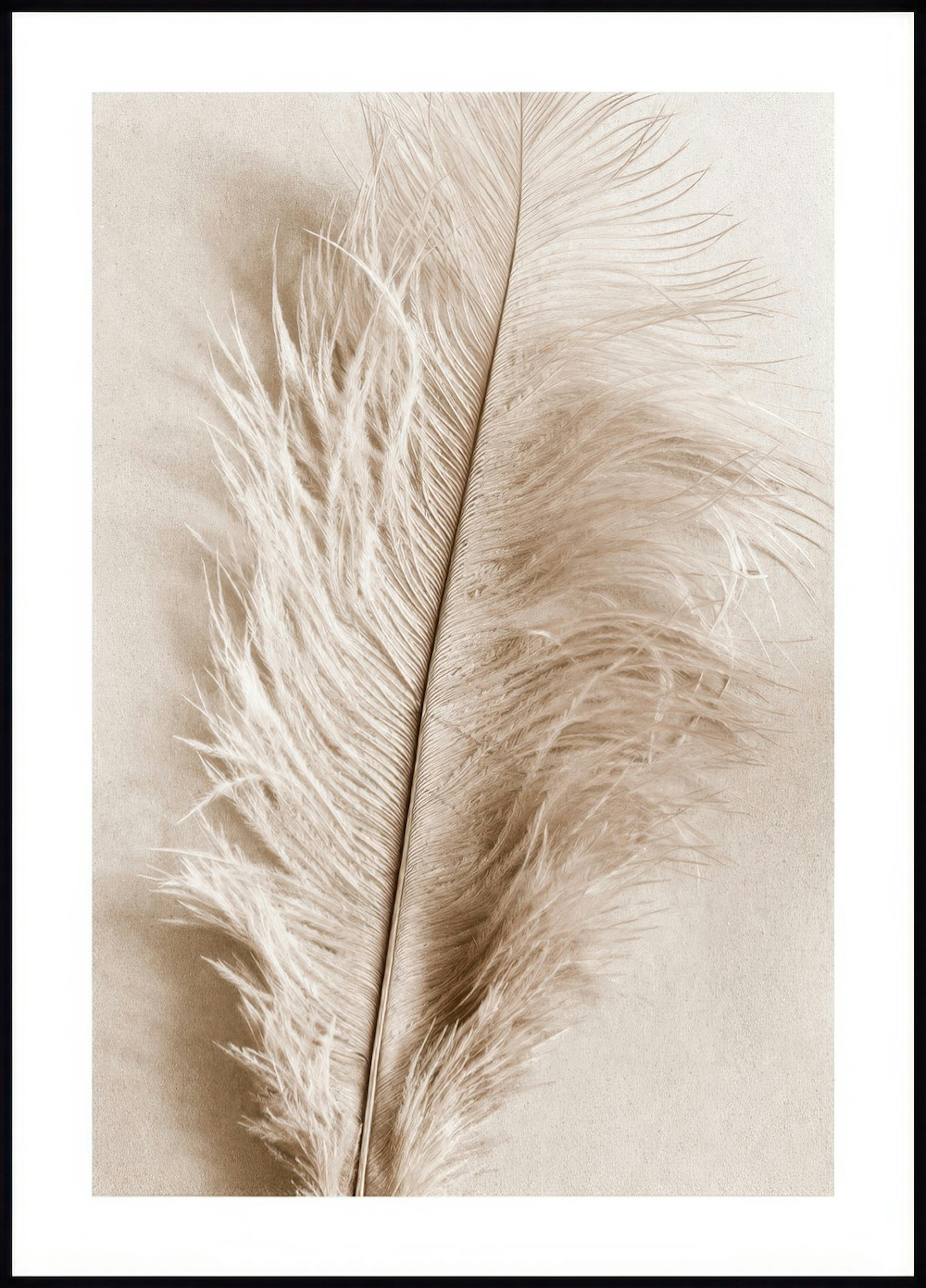 Pluma Suave Póster 0