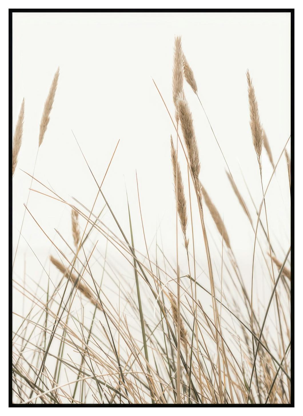 Wuivend Riet Poster (21x30 cm) - Poster Store