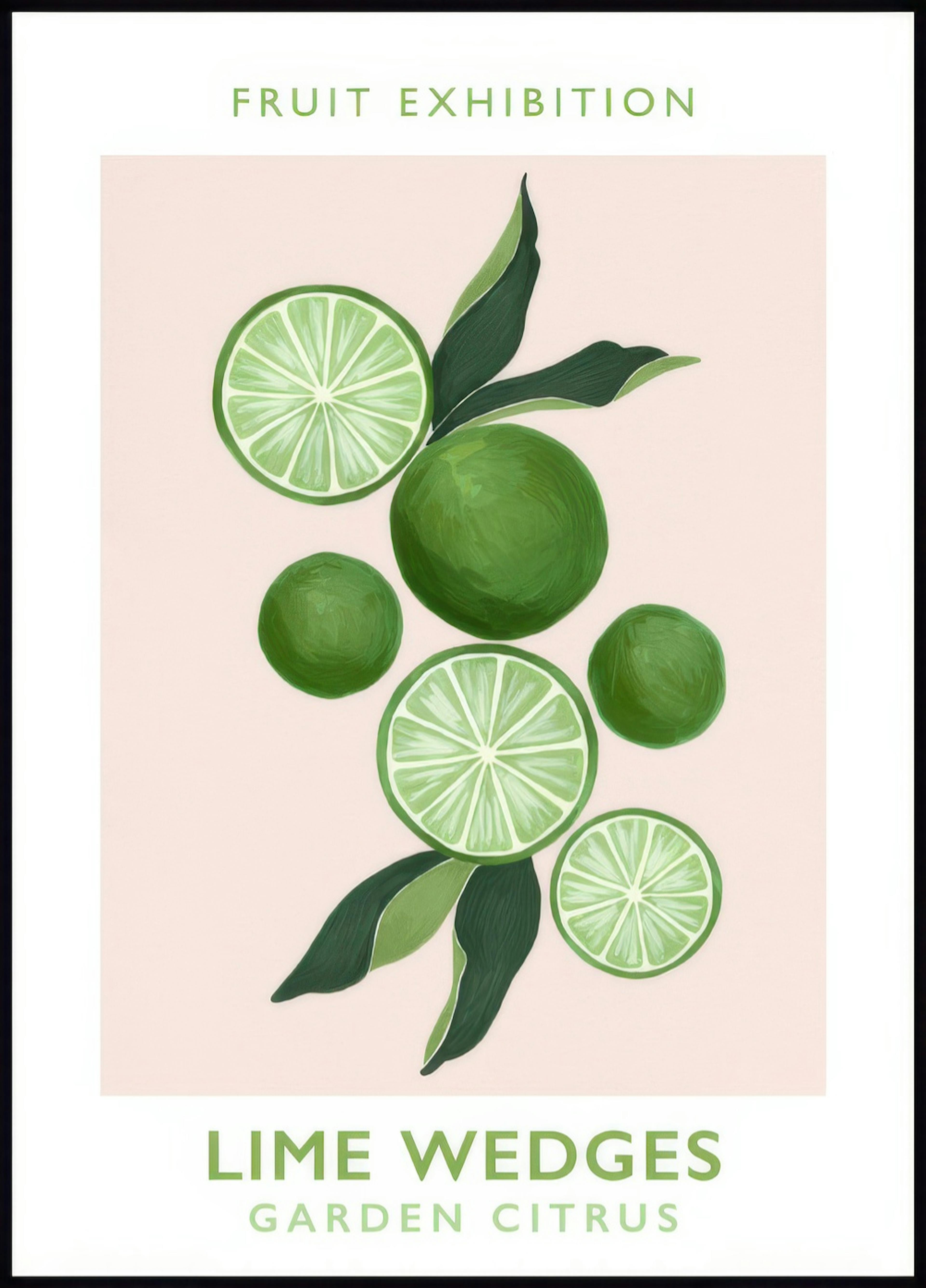 Lime Wedges Poster 0