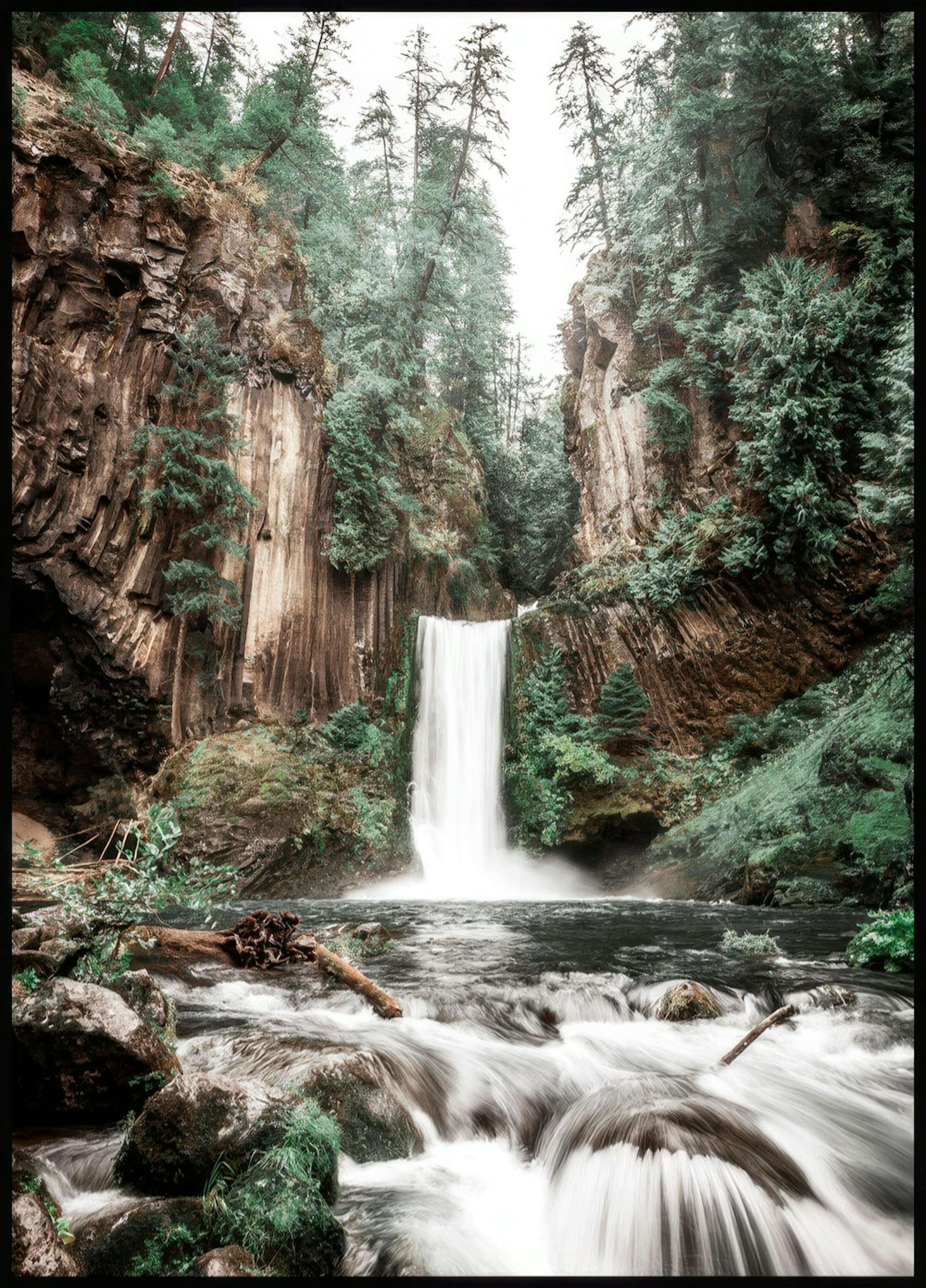 Forest Waterfall Poster 0