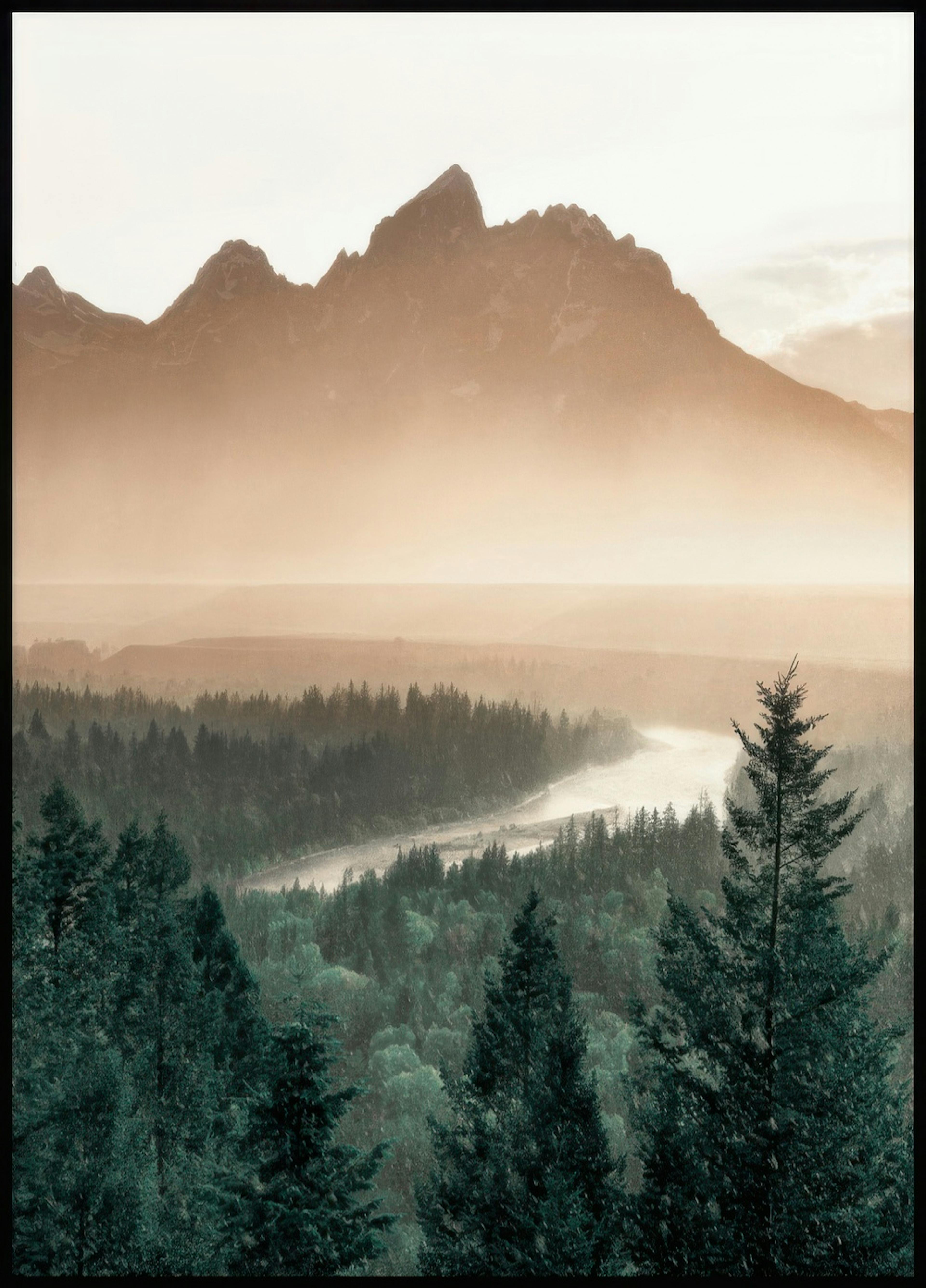 Pine Tree Valley Poster 0