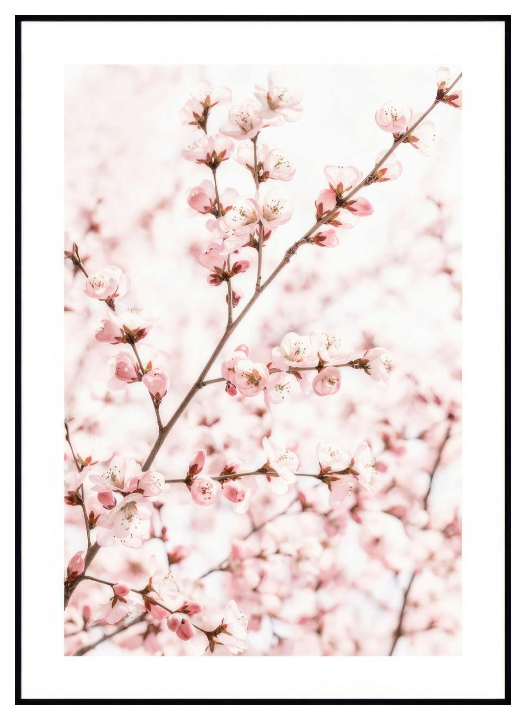 Perzik Bloesem Poster (30x40 cm) - Poster Store