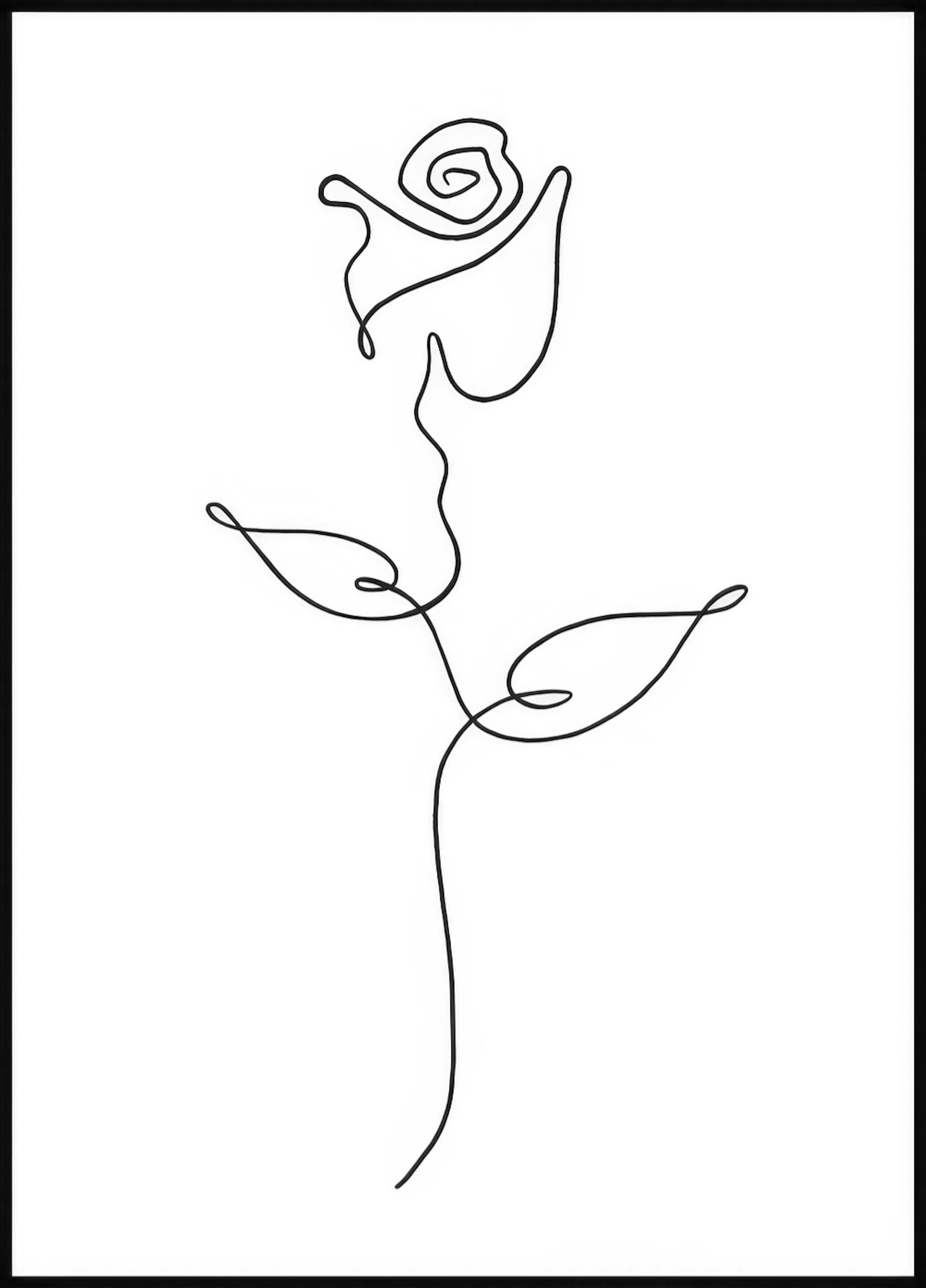 Rose Line Art Poster 0
