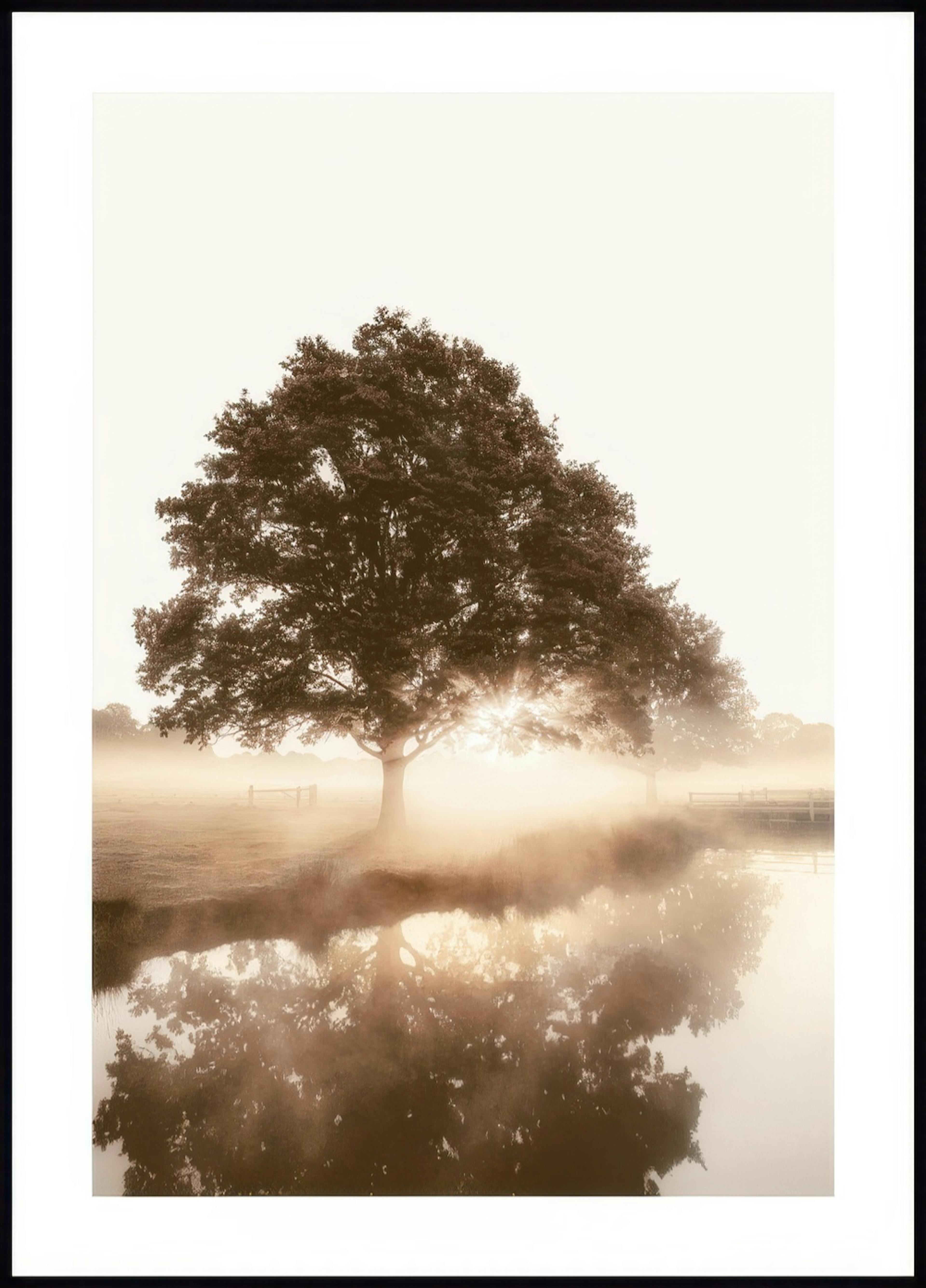 Arbre dans la Brume Poster 0