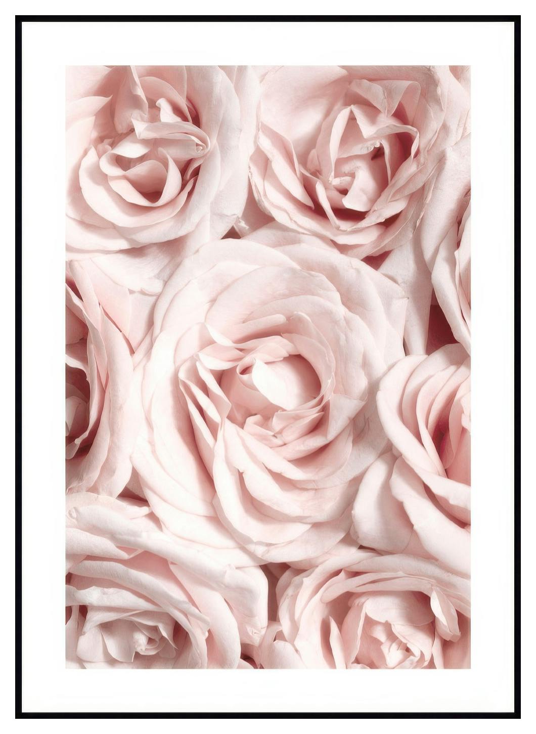 Muur van Rozen Poster (50x70 cm) - Poster Store