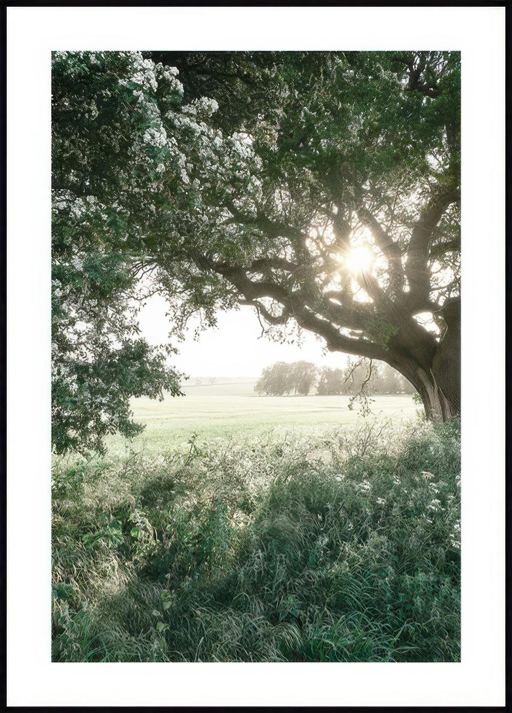 Rural Field Poster 0