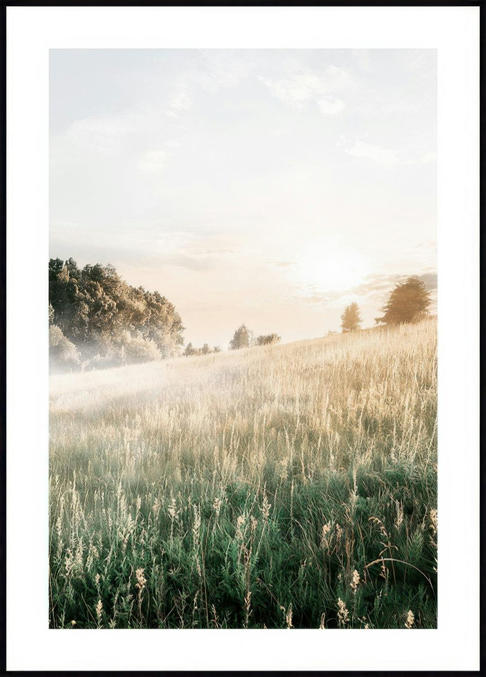 Zamglona Łąka Plakat 0