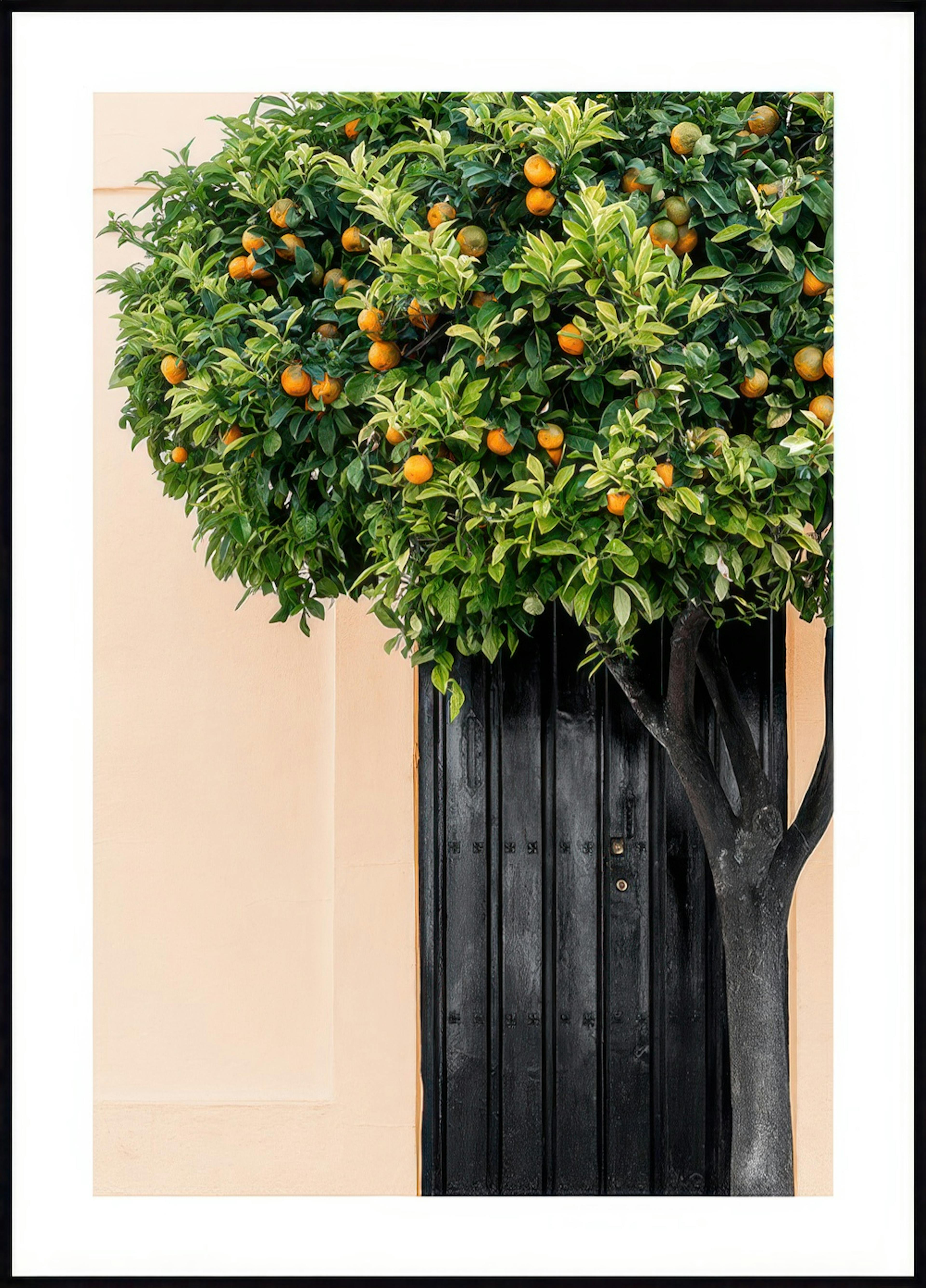 Citrus Tree Poster 0
