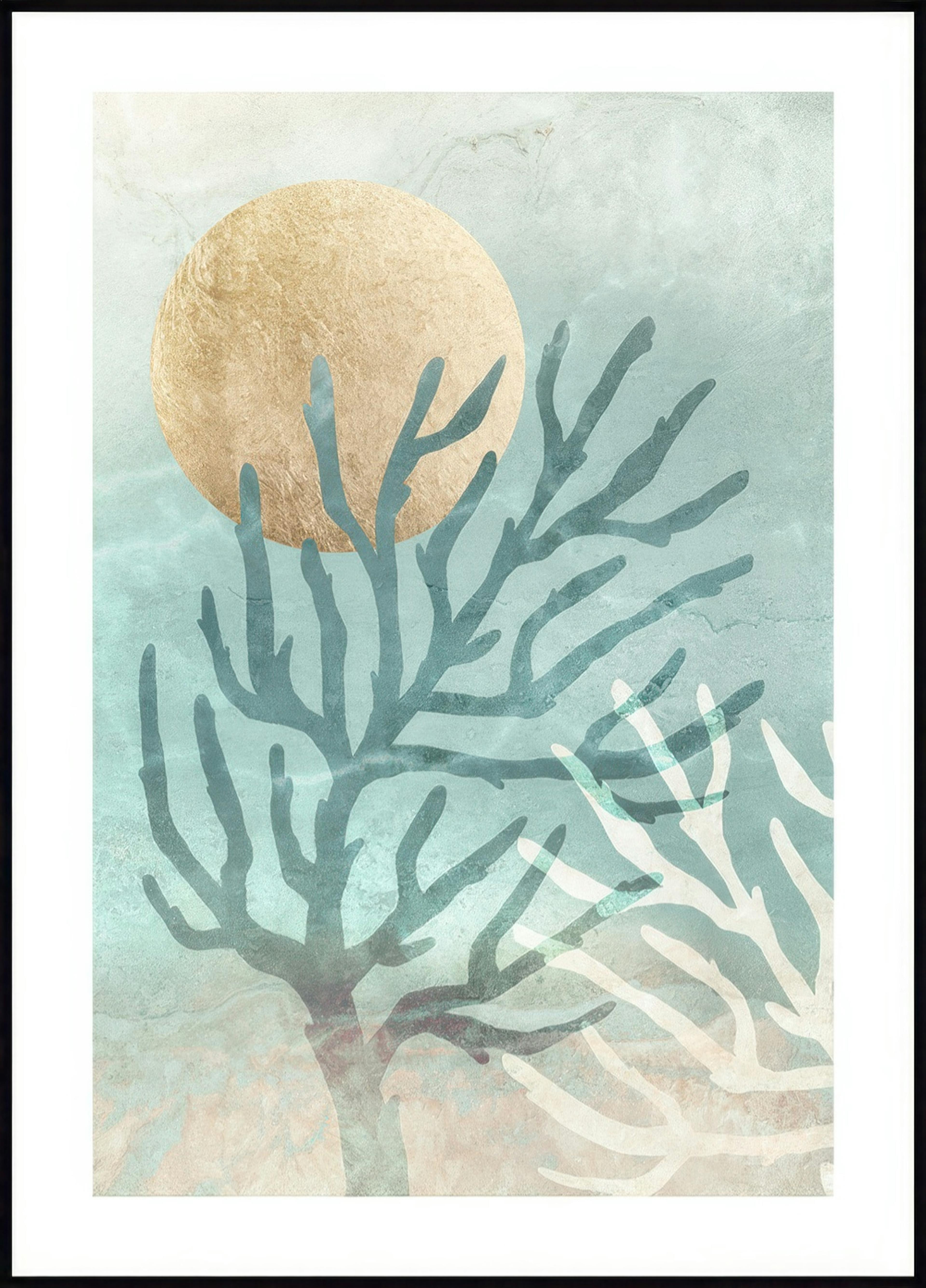 Coral Dreams Poster 0