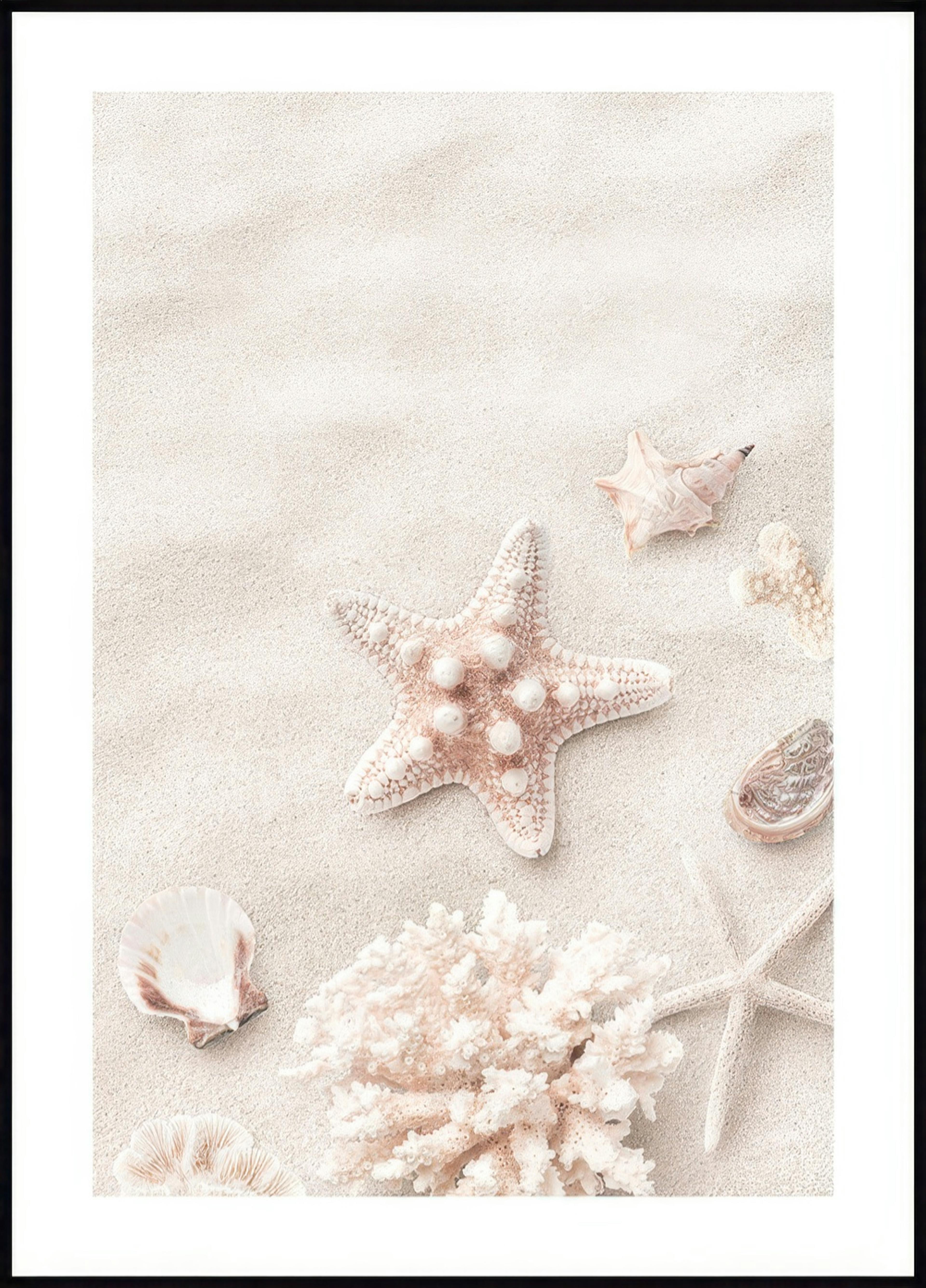 Pink Starfish Poster 0