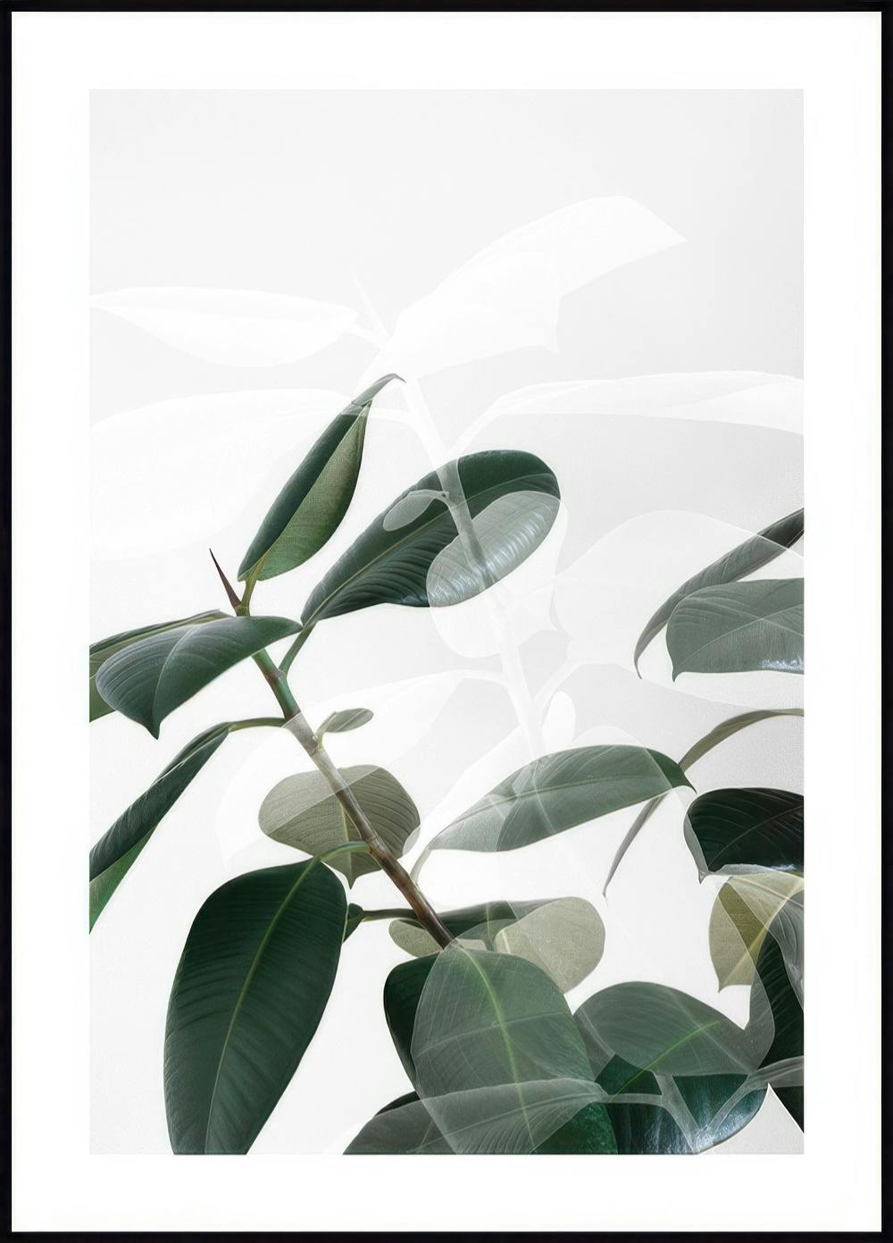 Plant Shades Affiche 0