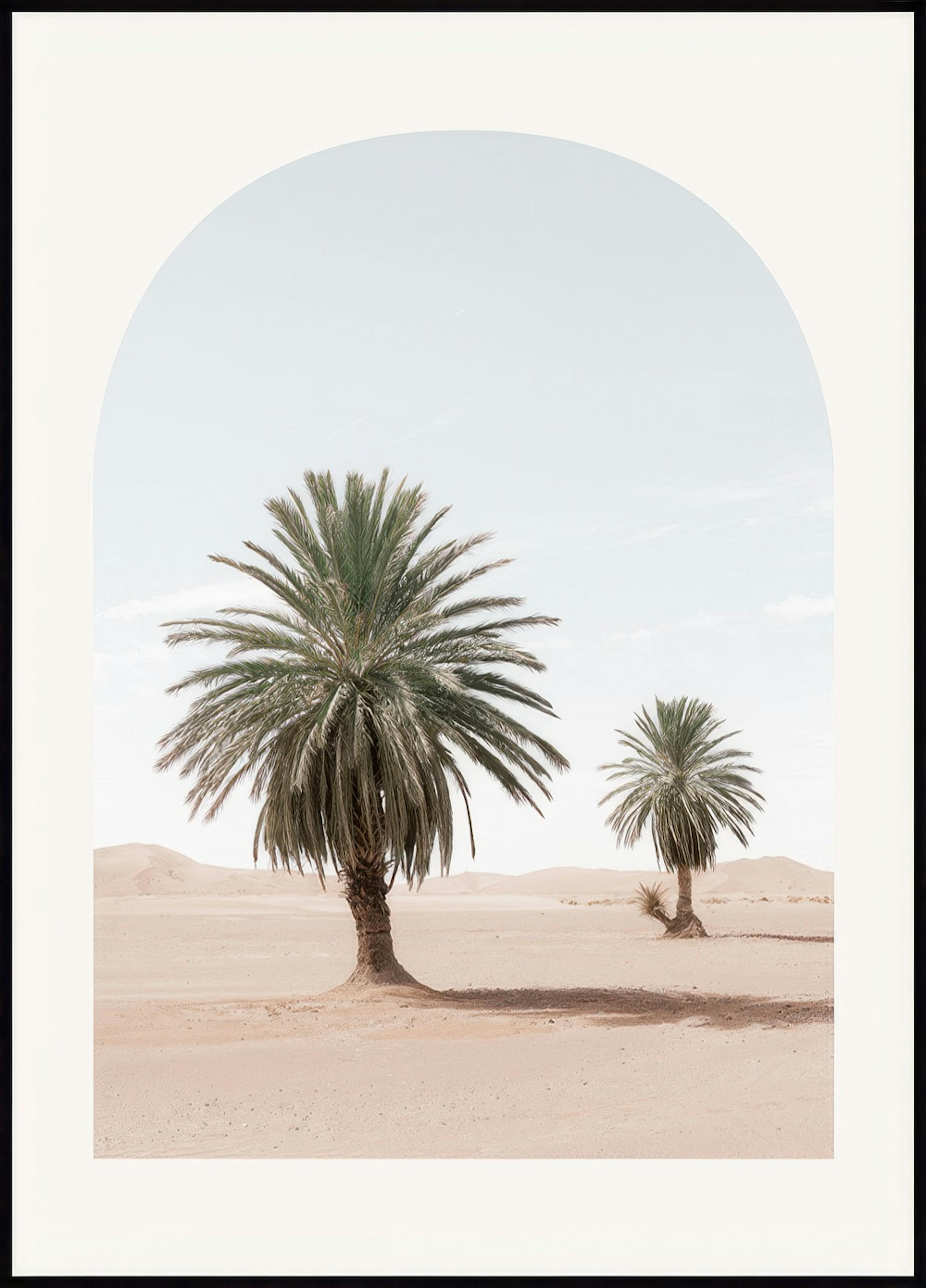 Desert Palms Poster 0