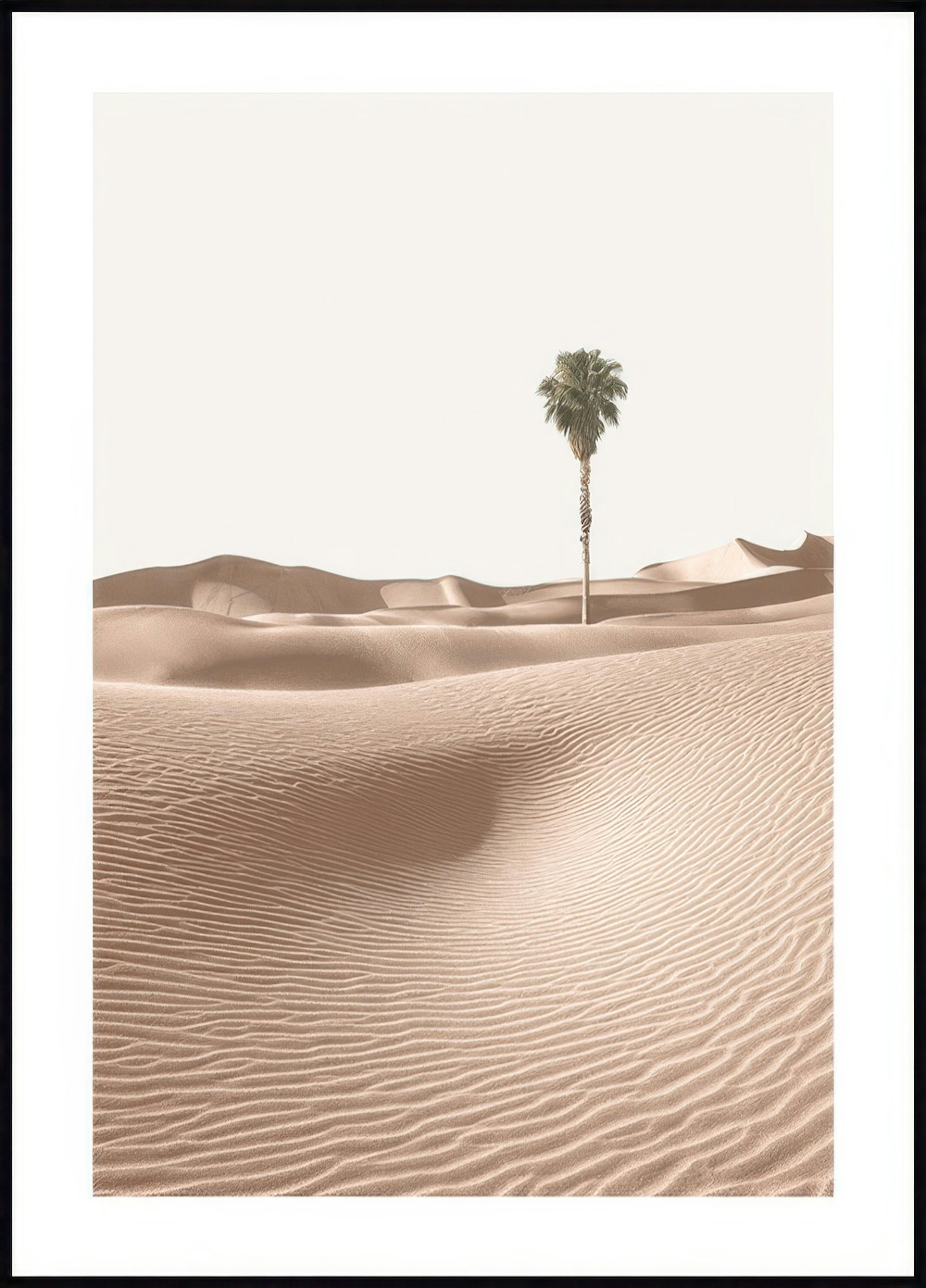 Palm in Sand Dunes Poster 0