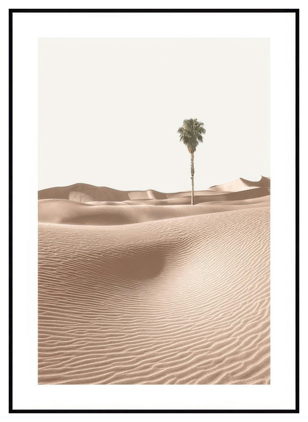 Palma Na Wydmach Plakat (30x40 cm) - Poster Store