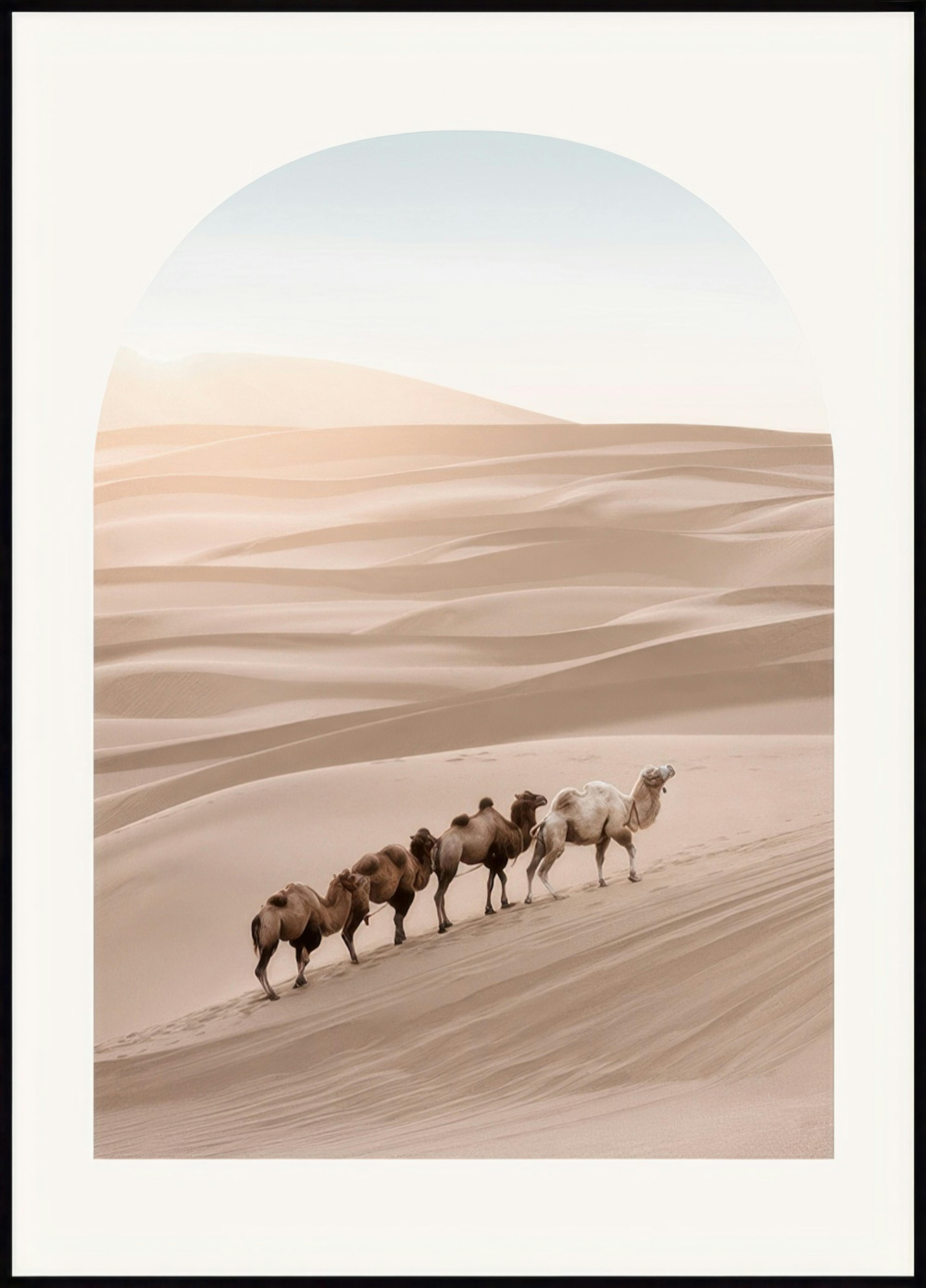 Desert Camels Poster 0
