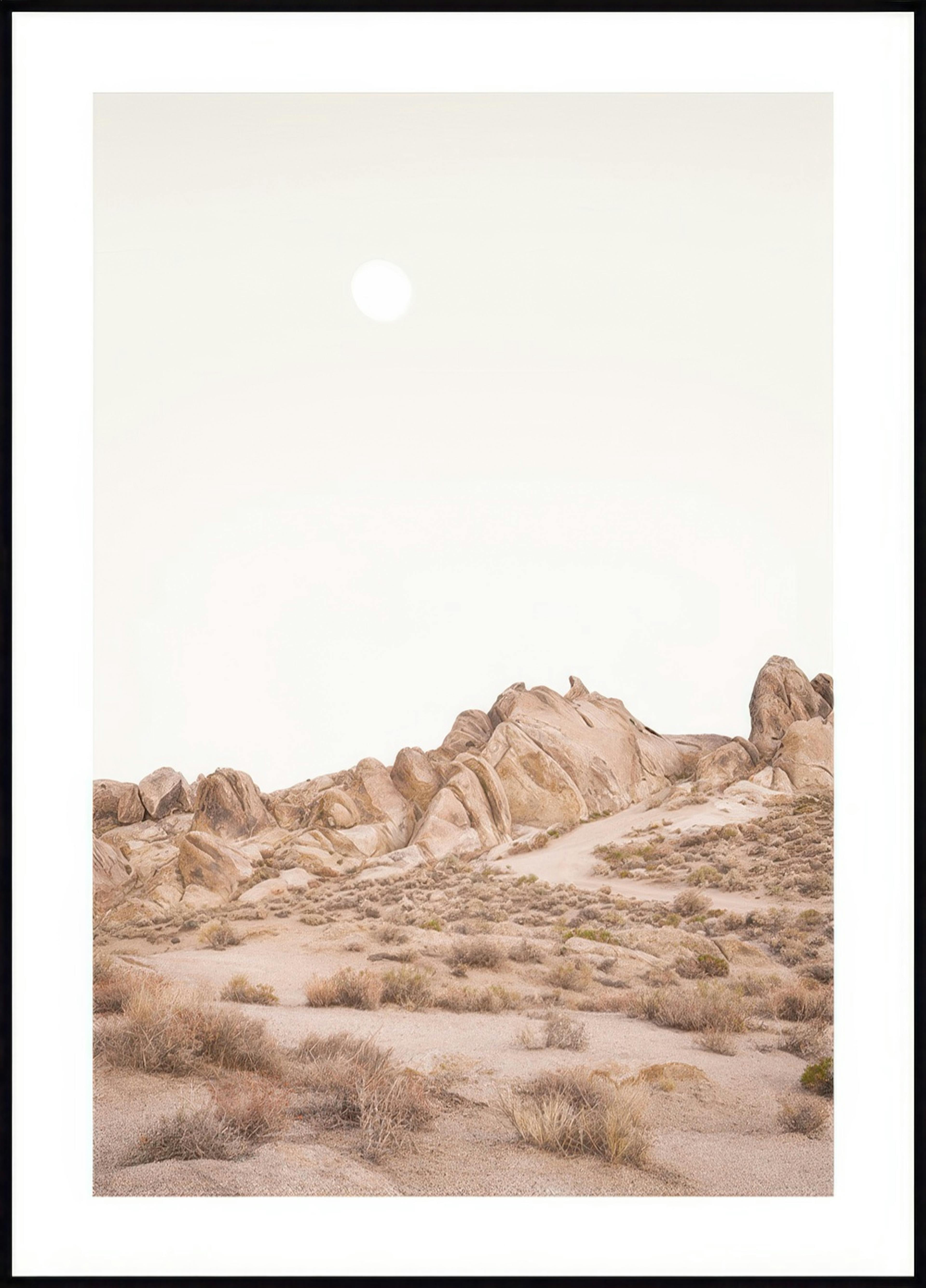 Desert Wilderness Poster 0