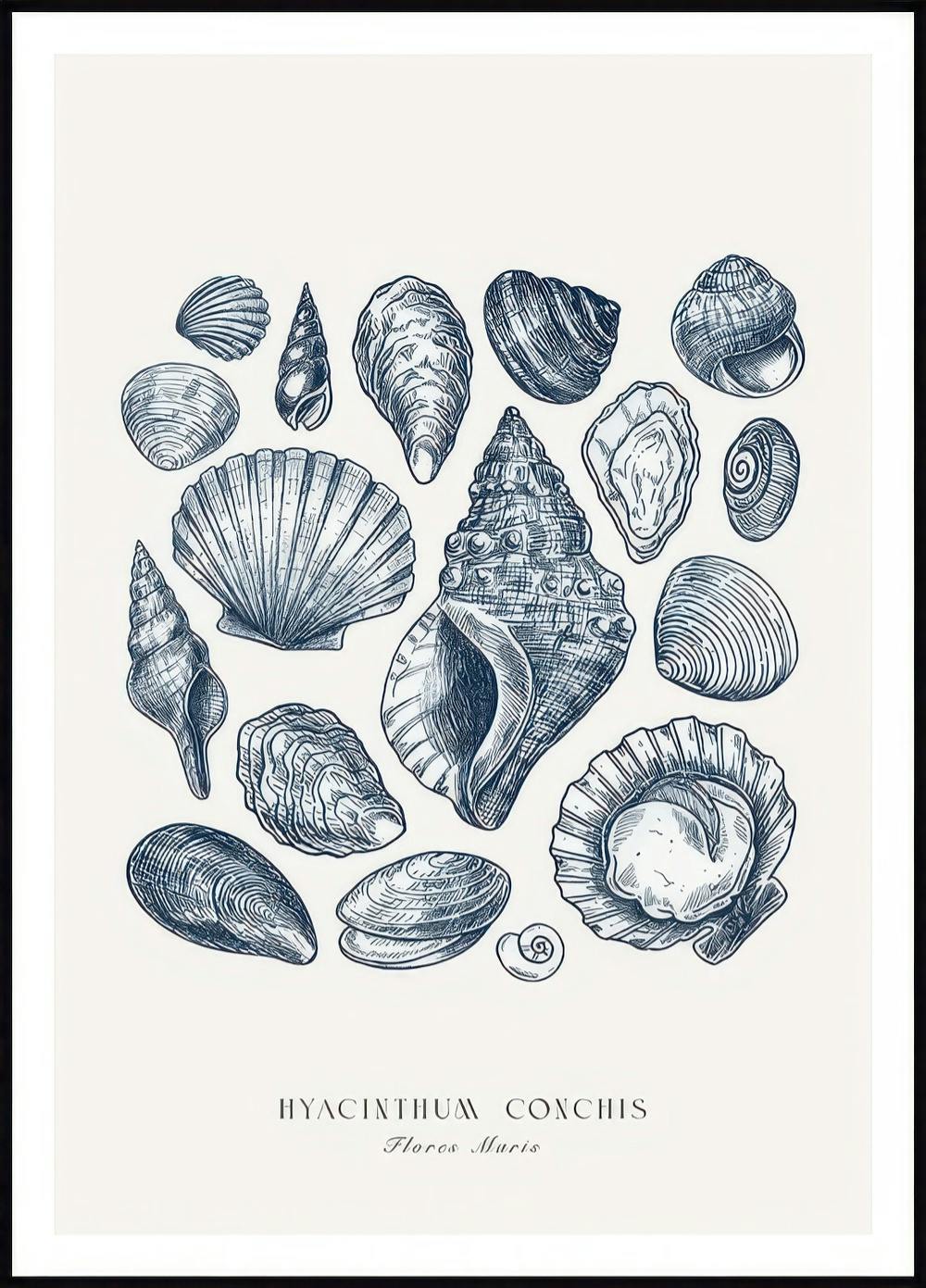 Coquillages Bleus Poster 0