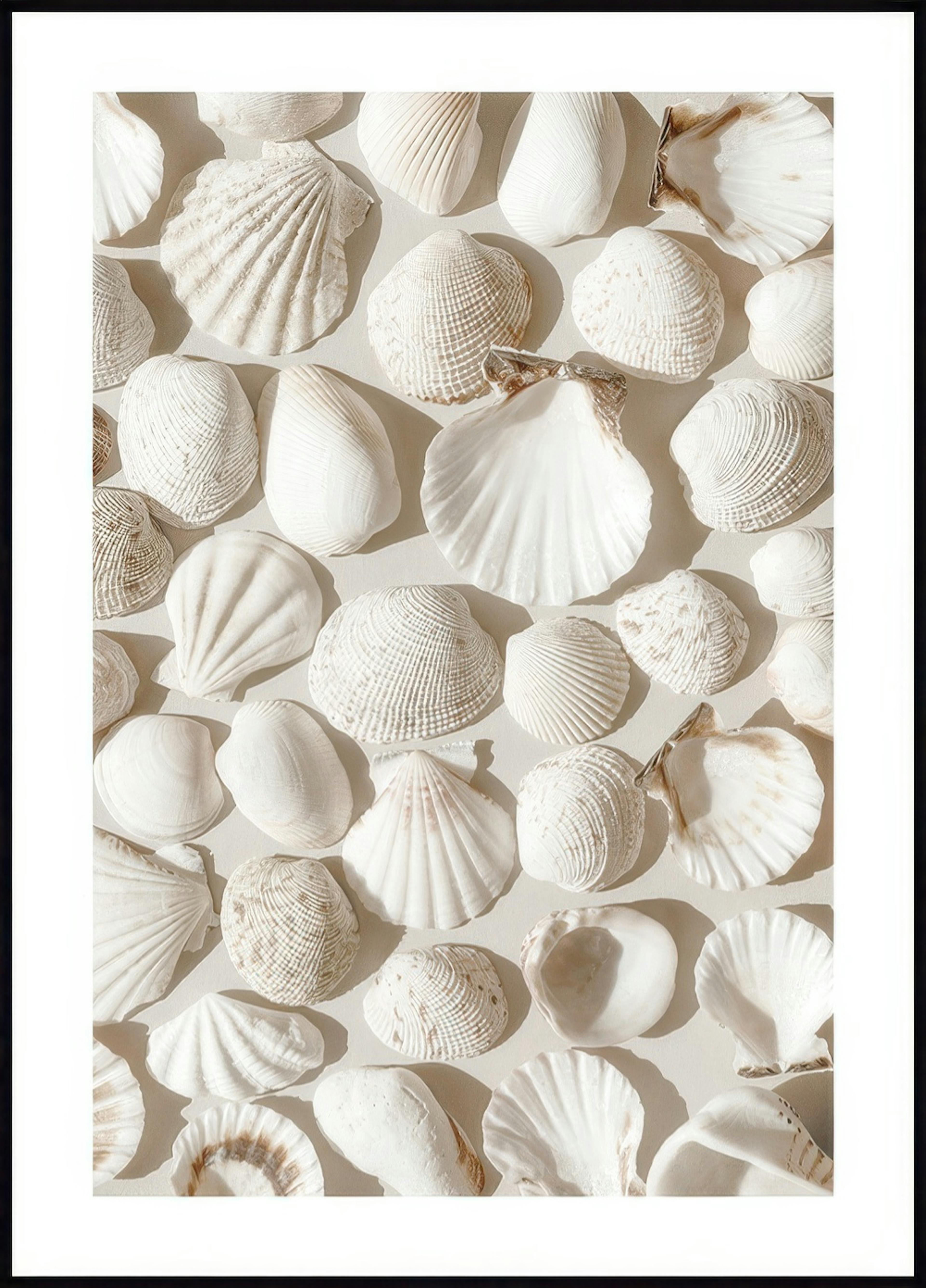 Beige Muscheln Poster 0