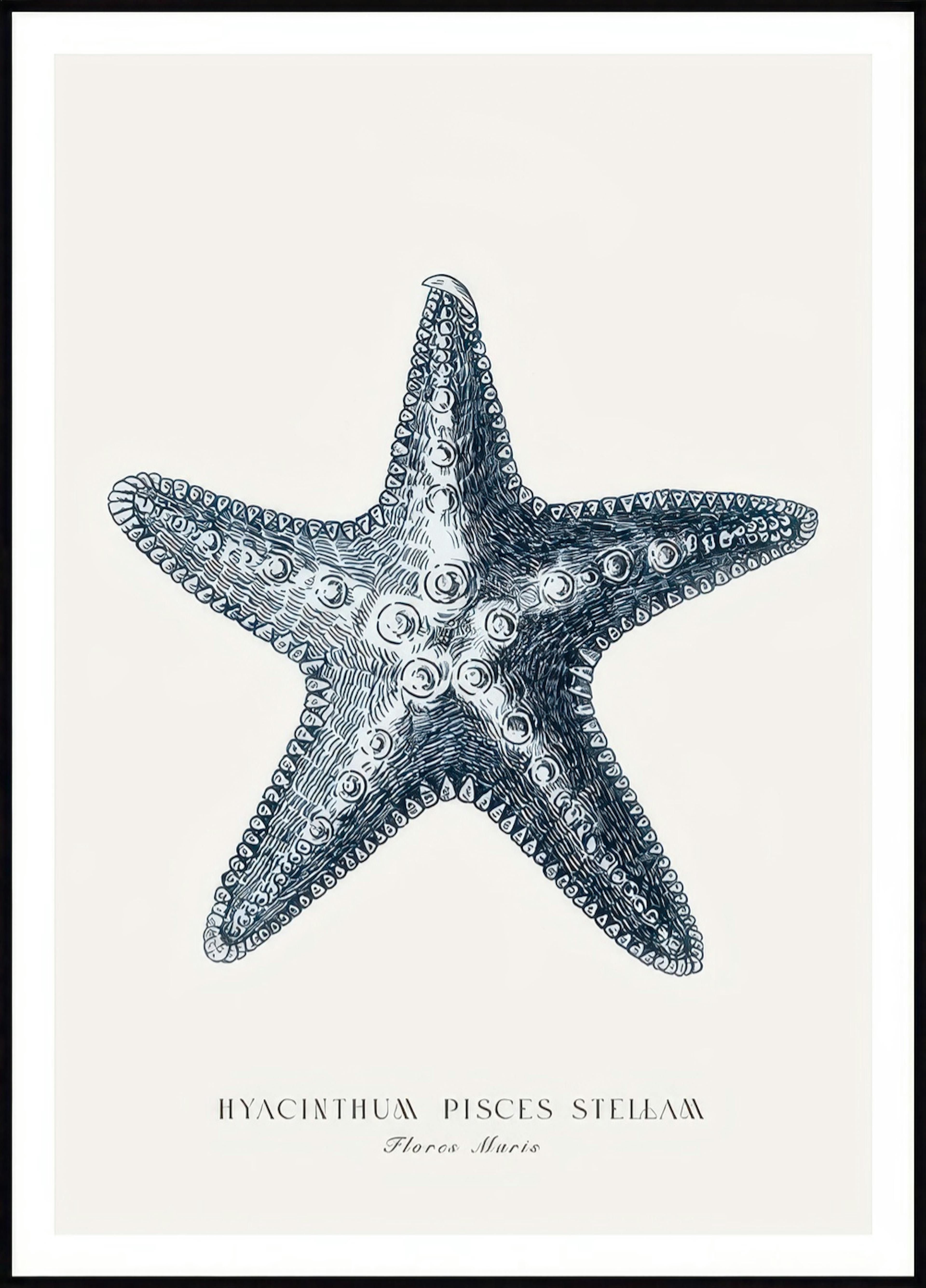 Étoile de Mer Bleue Poster 0