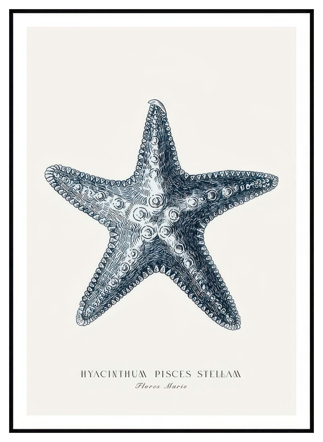 Prints Blue Starfish Poster (21x30 cm) - Poster Store
