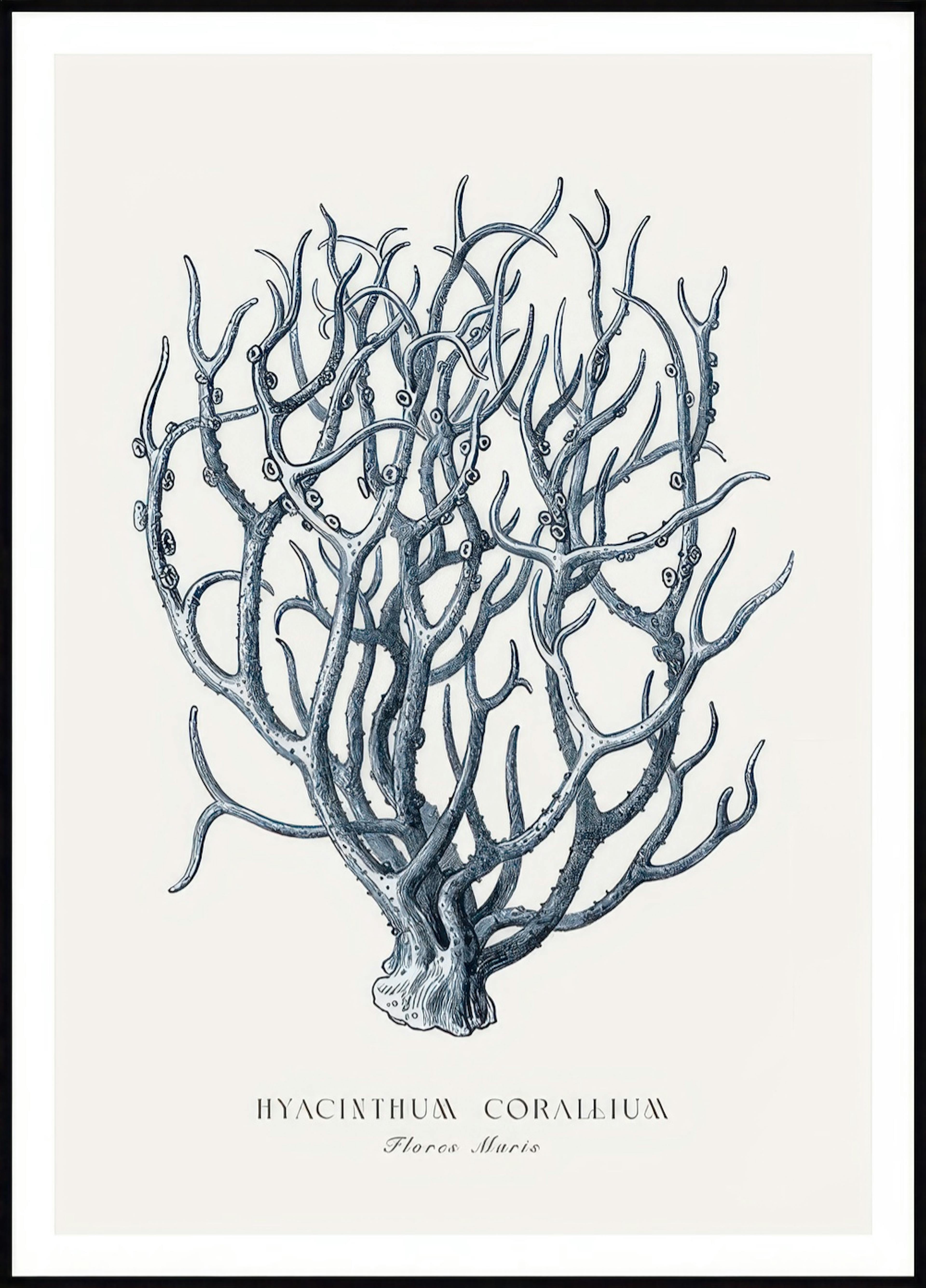 Blue Coral Poster 0