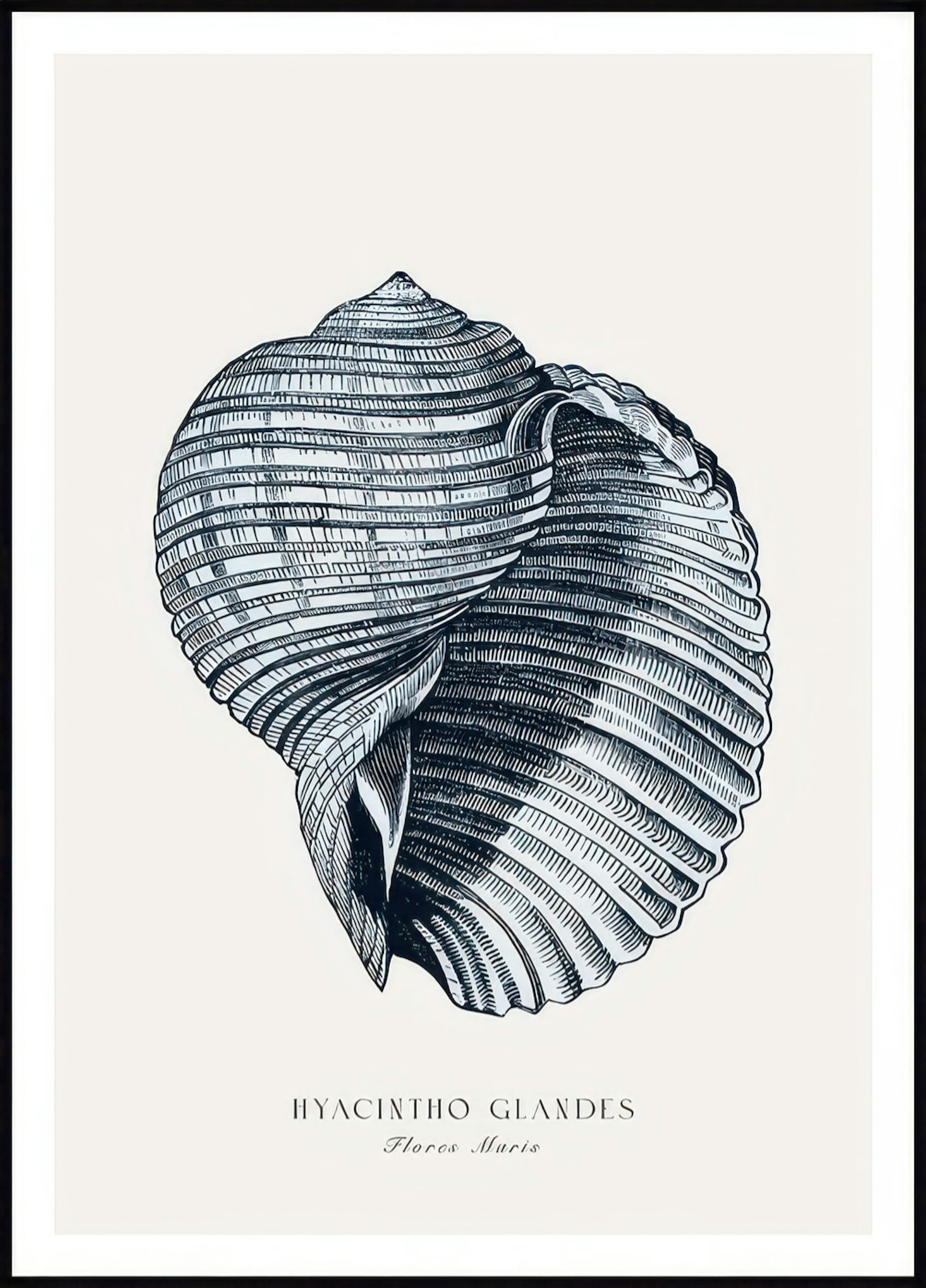 Blue Seashell Poster 0