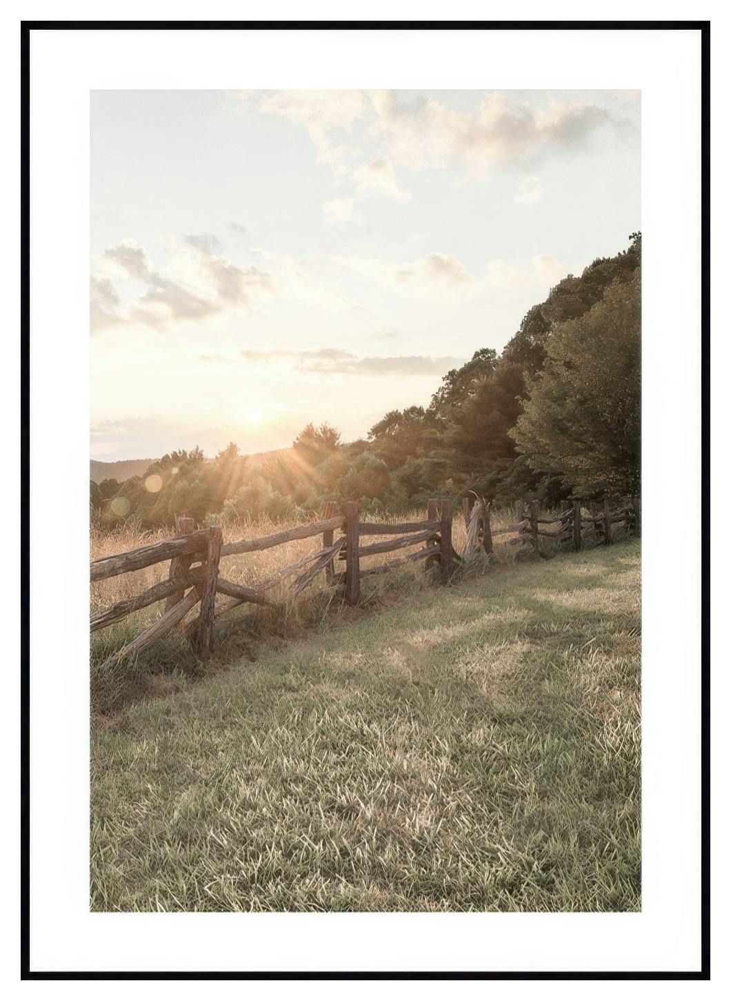 Zachód Słońca Za Płotem Plakat (50x70 cm) - Poster Store