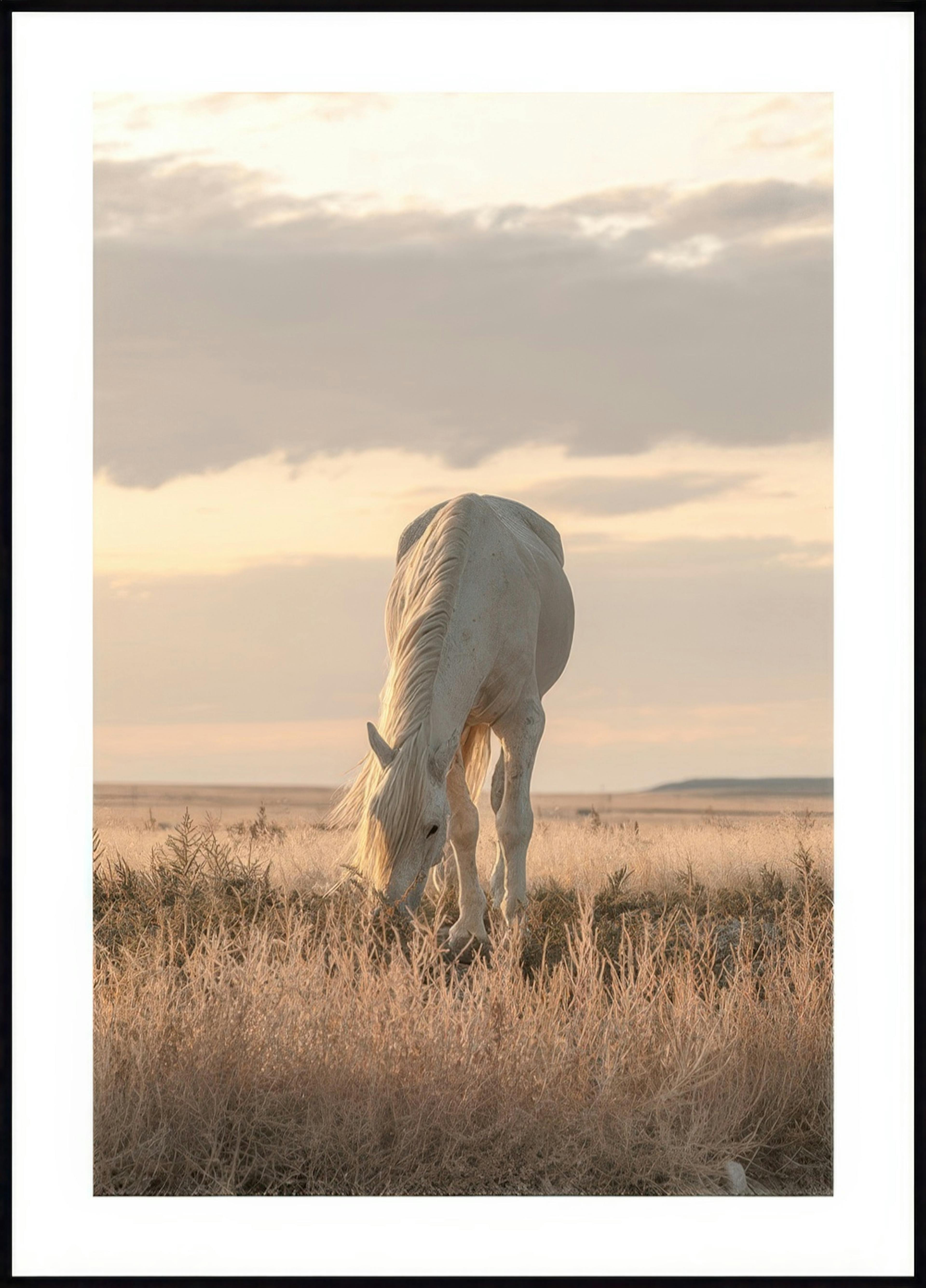 Cheval au Soleil Couchant Poster 0