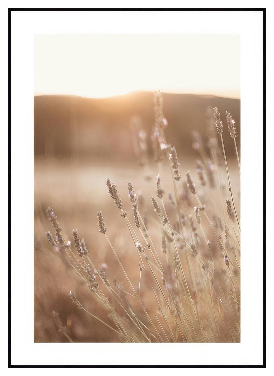 Weide in Zonsondergang Poster (30x40 cm) - Poster Store