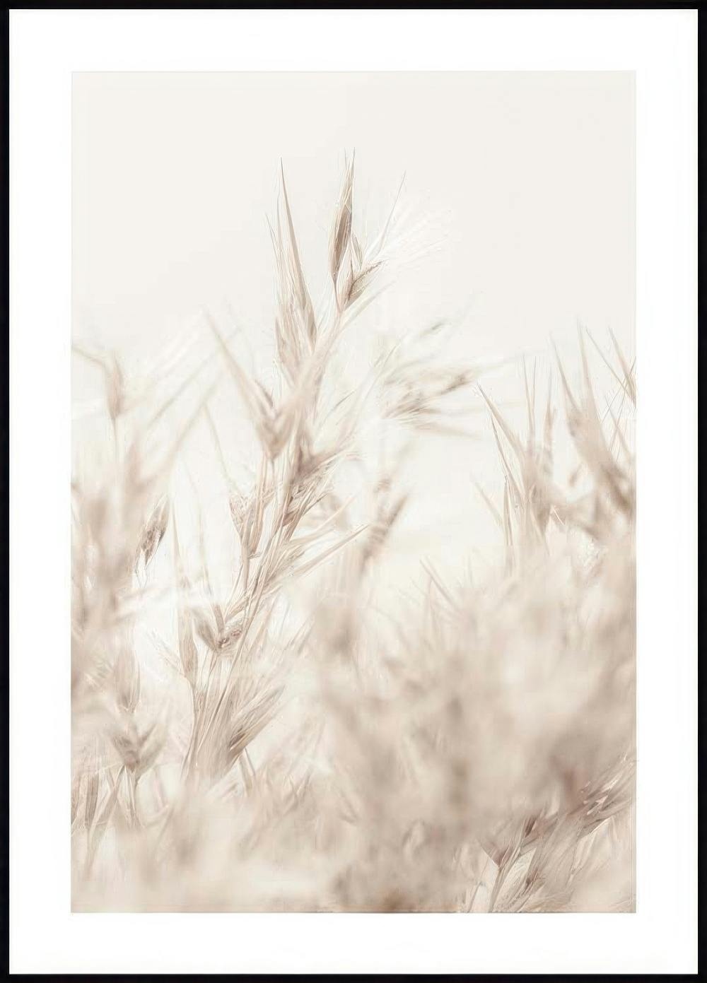 Beige Reed Poster 0