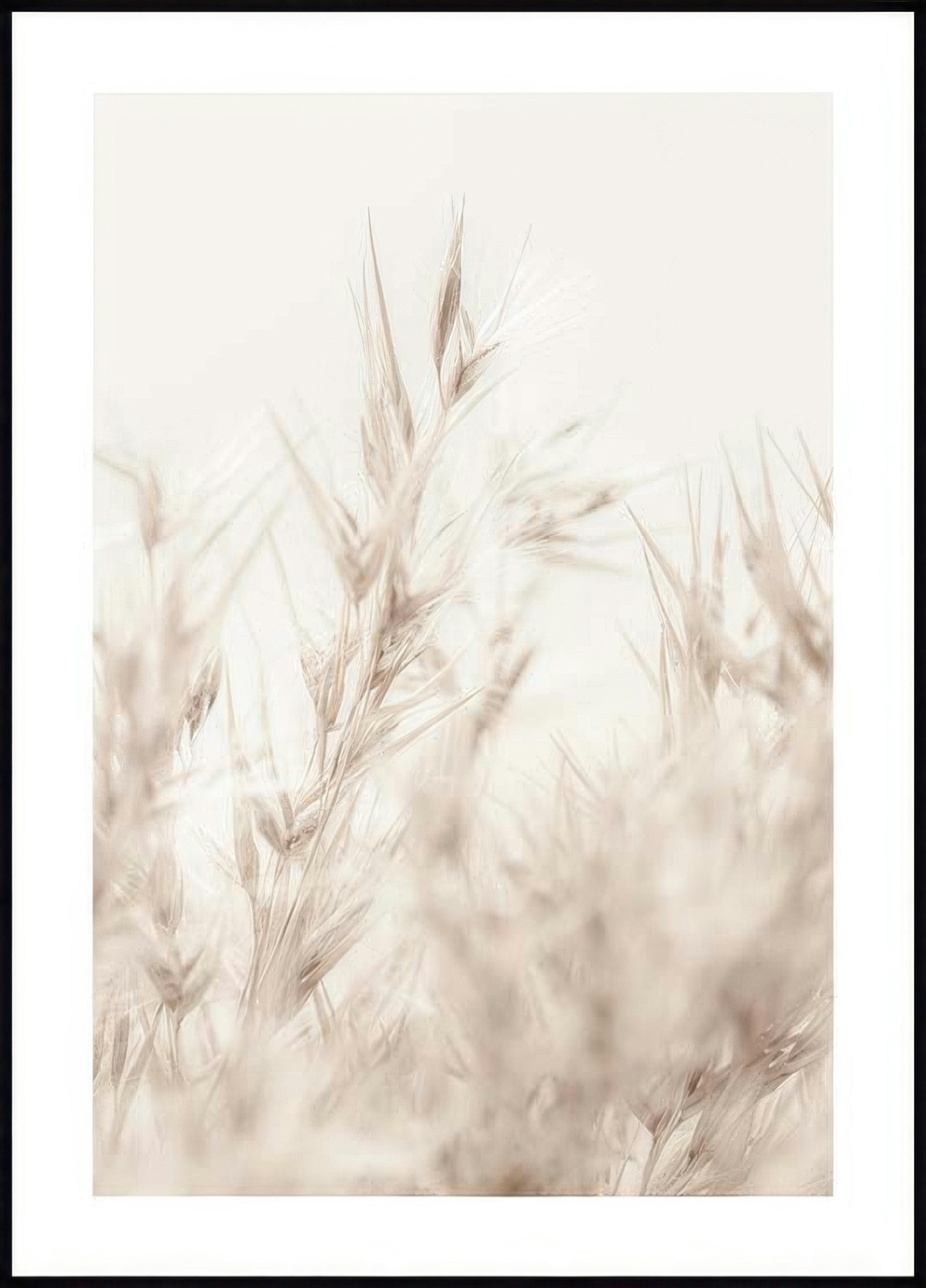 Roseau Beige Poster 0