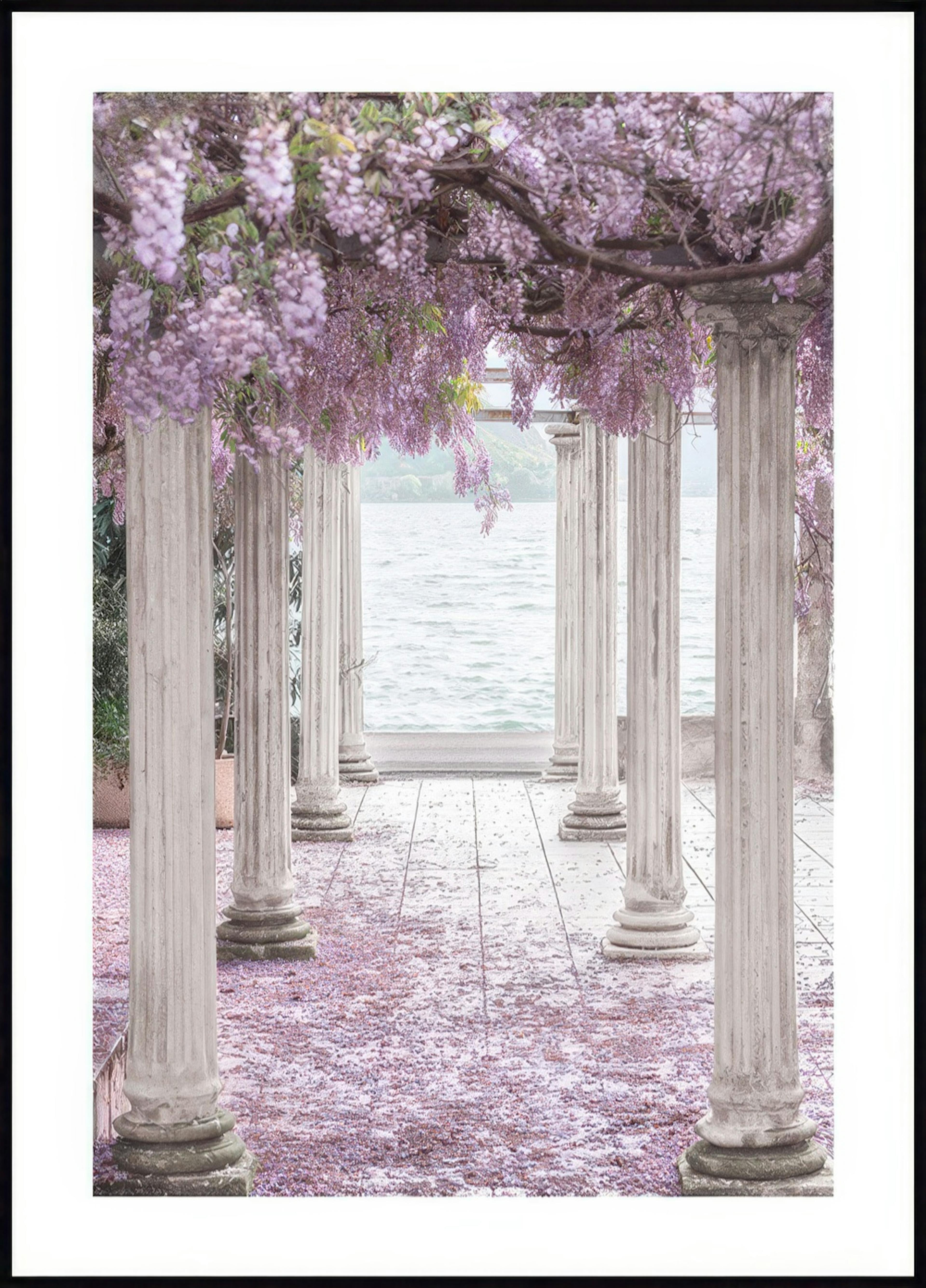 Wisteria Pillars Poster 0