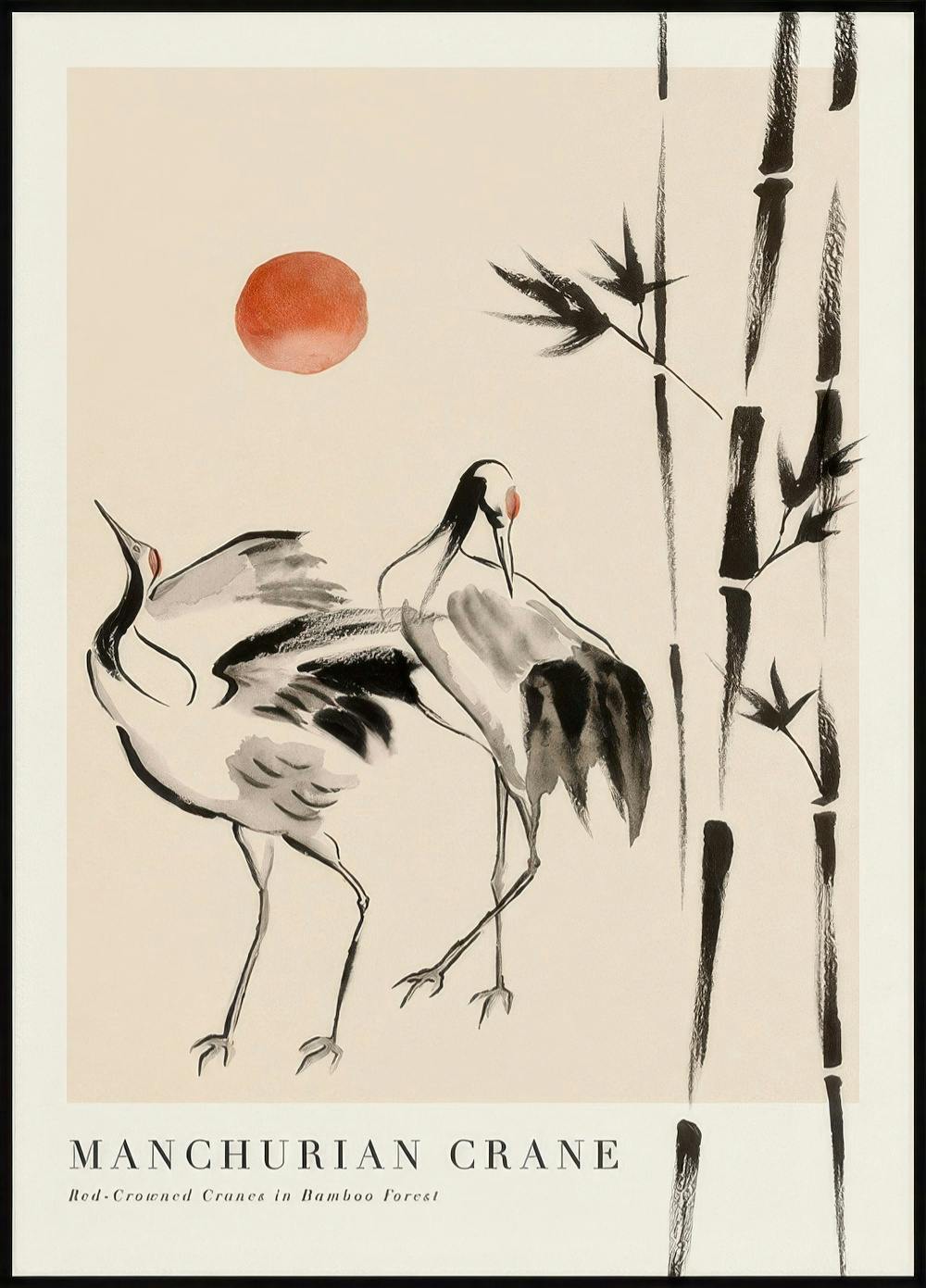 Manchurian Crane Poster 0