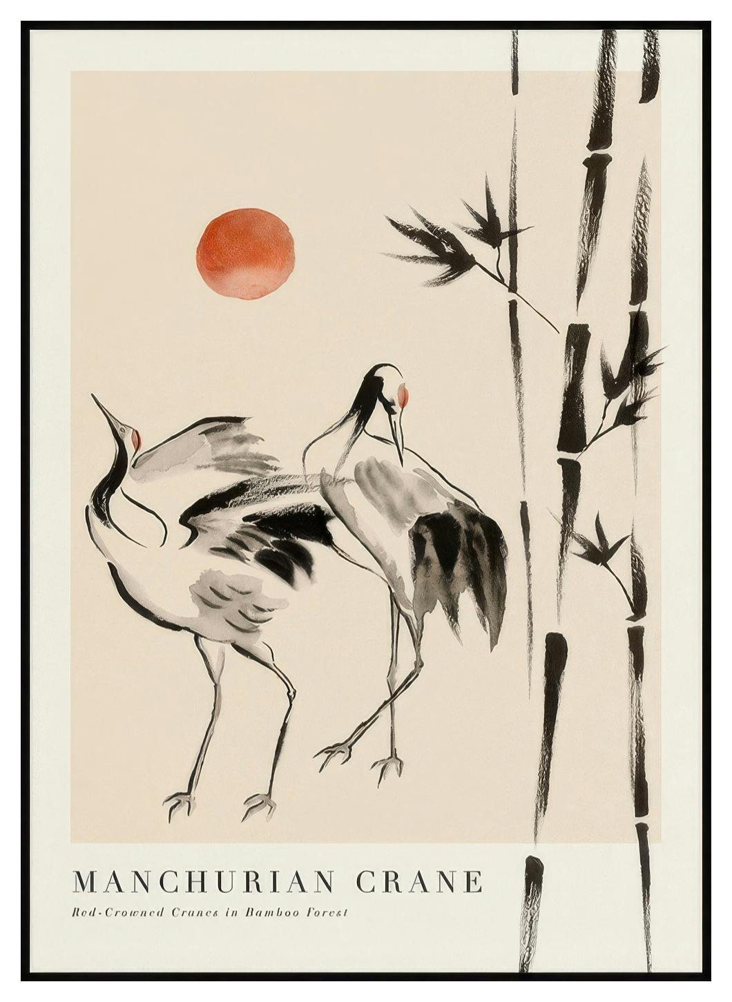 Prints Manchurian Crane Poster (50x70 cm) - Poster Store